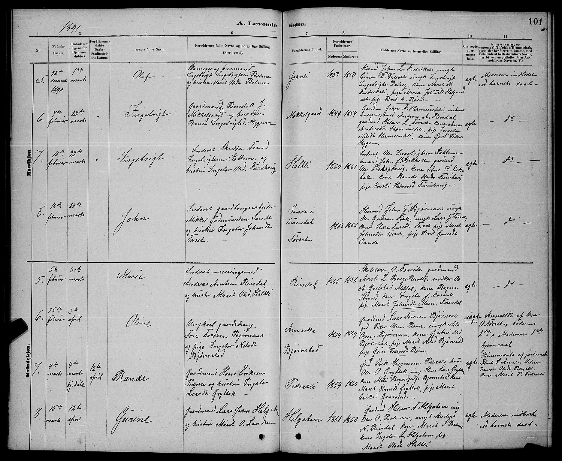 Ministerialprotokoller, klokkerbøker og fødselsregistre - Møre og Romsdal, AV/SAT-A-1454/598/L1077: Parish register (copy) no. 598C02, 1879-1891, p. 101