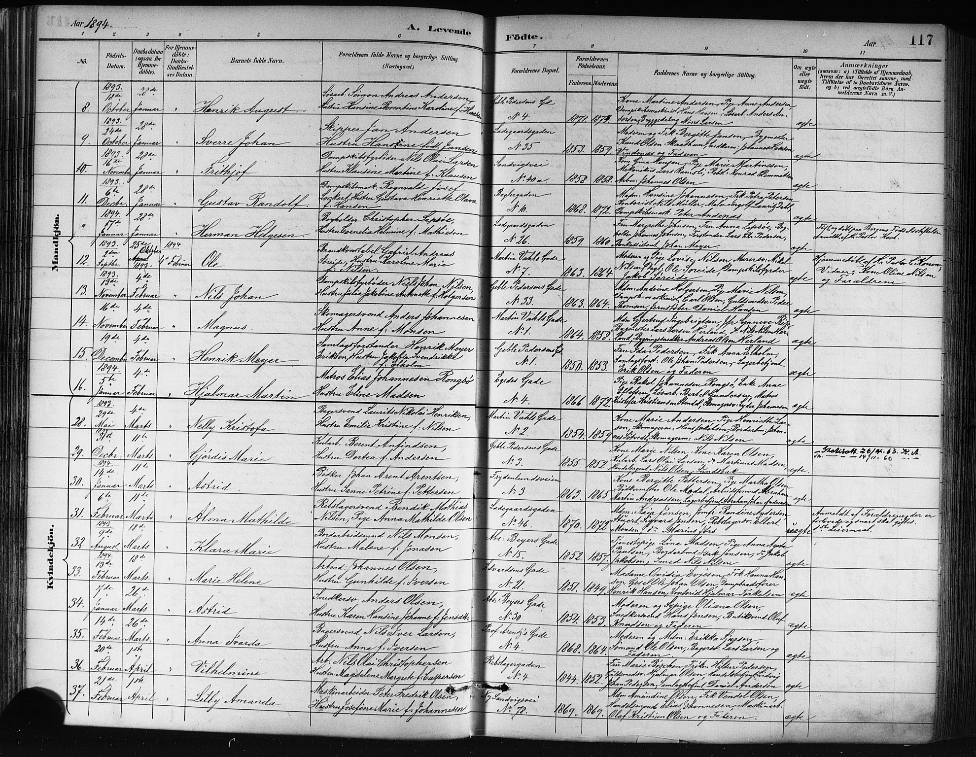 Sandviken Sokneprestembete, AV/SAB-A-77601/H/Hb/L0002: Parish register (copy) no. A 3, 1888-1902, p. 117