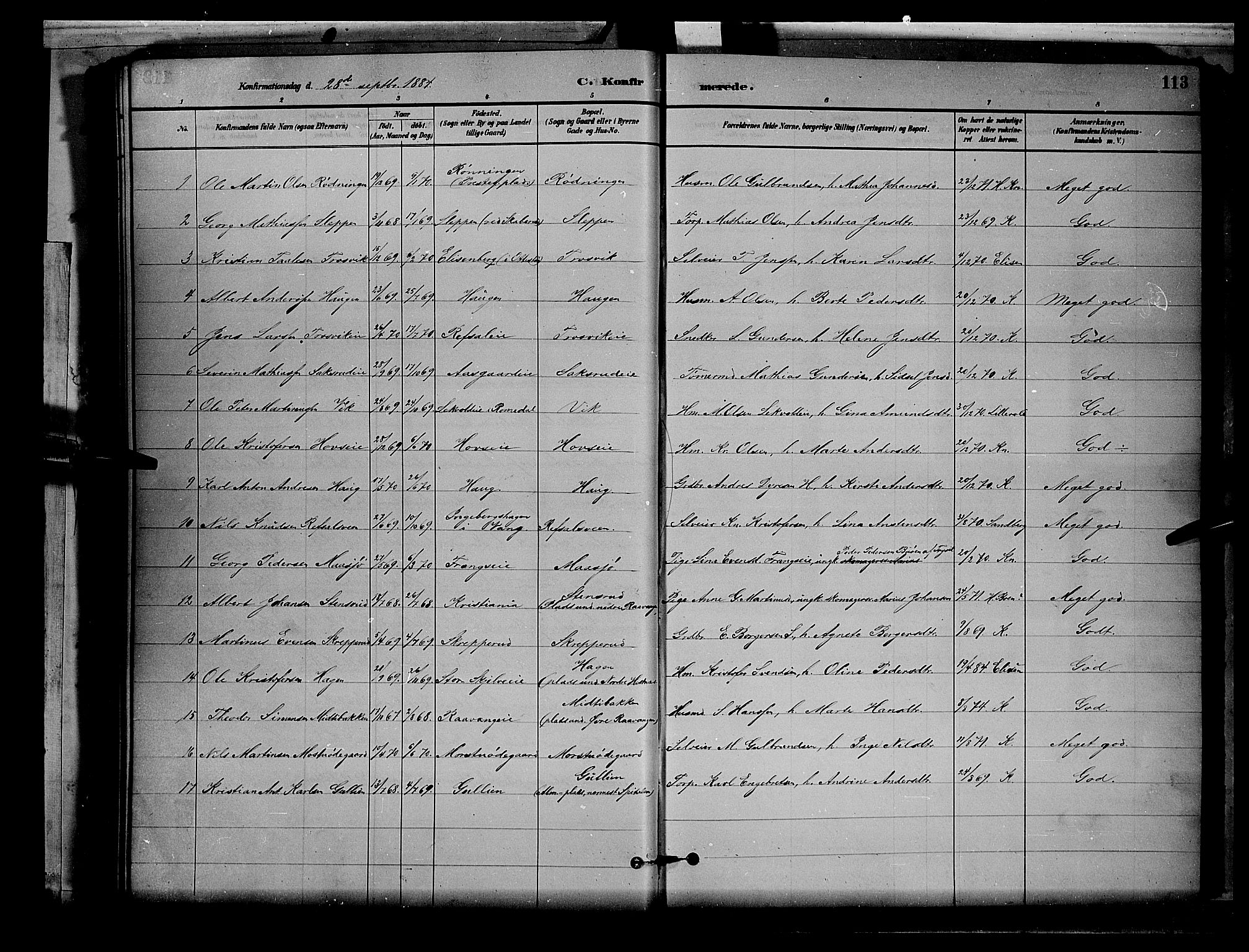 Stange prestekontor, AV/SAH-PREST-002/L/L0008: Parish register (copy) no. 8, 1882-1895, p. 113