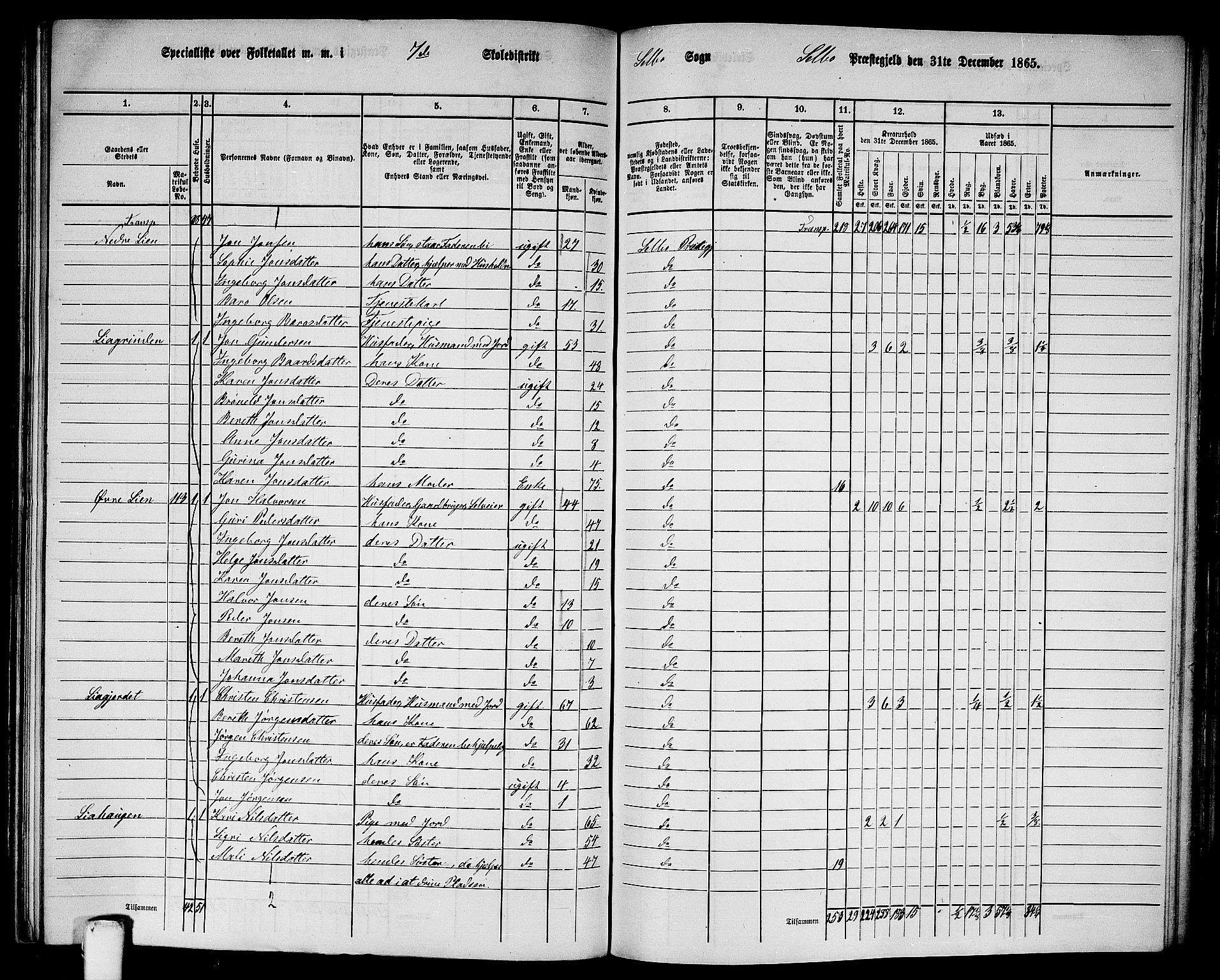 RA, 1865 census for Selbu, 1865, p. 123