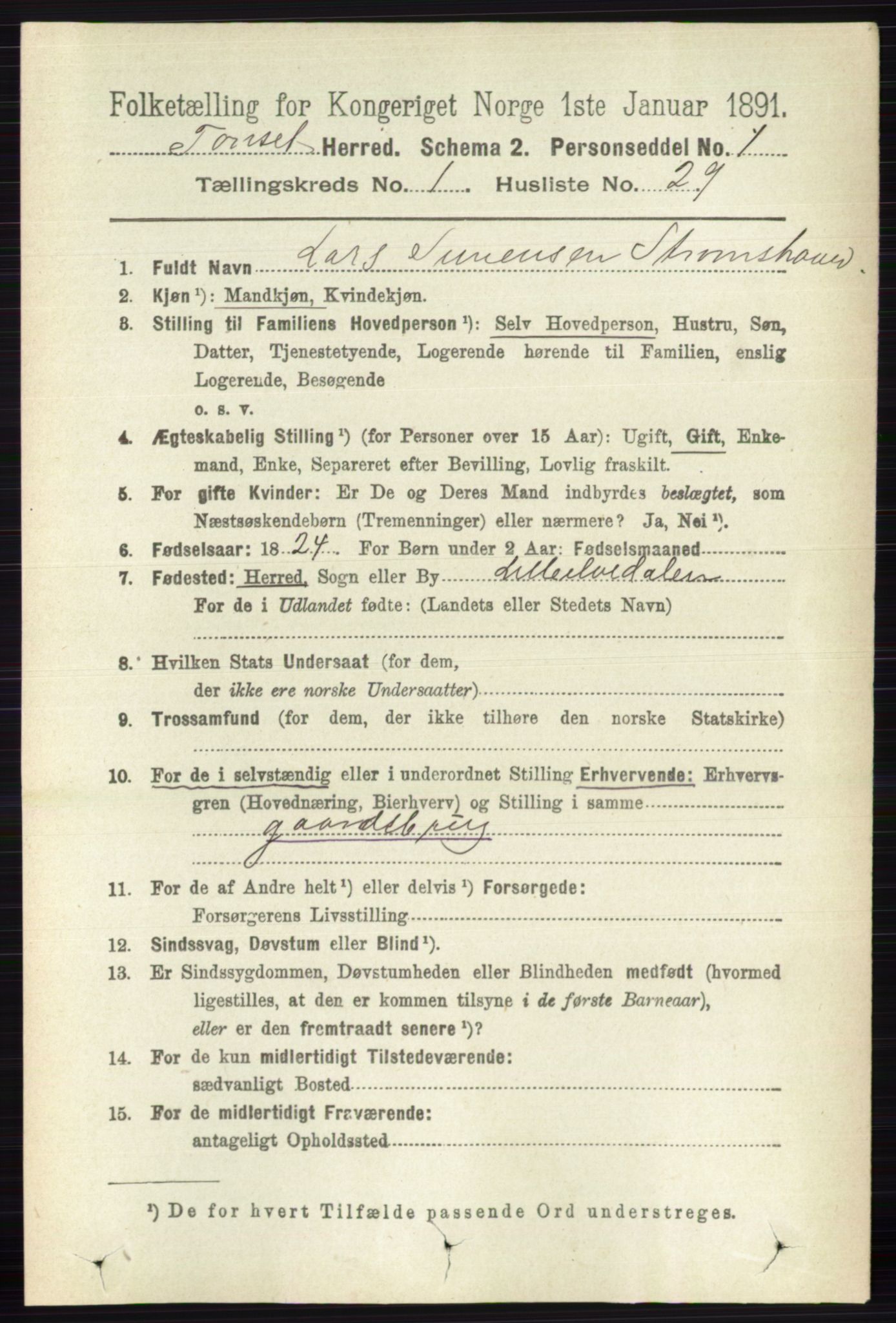 RA, 1891 census for 0437 Tynset, 1891, p. 229