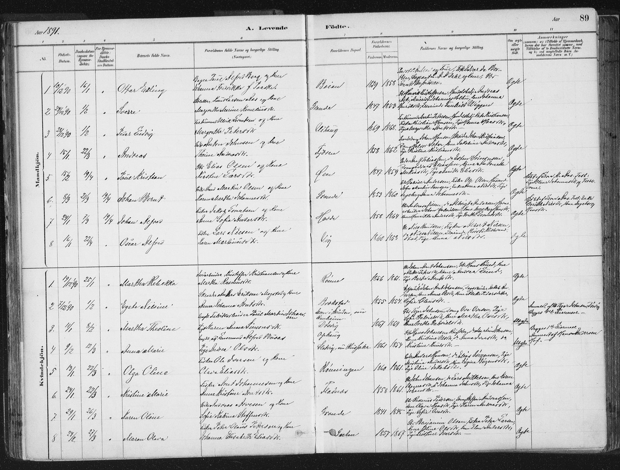 Ministerialprotokoller, klokkerbøker og fødselsregistre - Sør-Trøndelag, SAT/A-1456/659/L0739: Parish register (official) no. 659A09, 1879-1893, p. 89