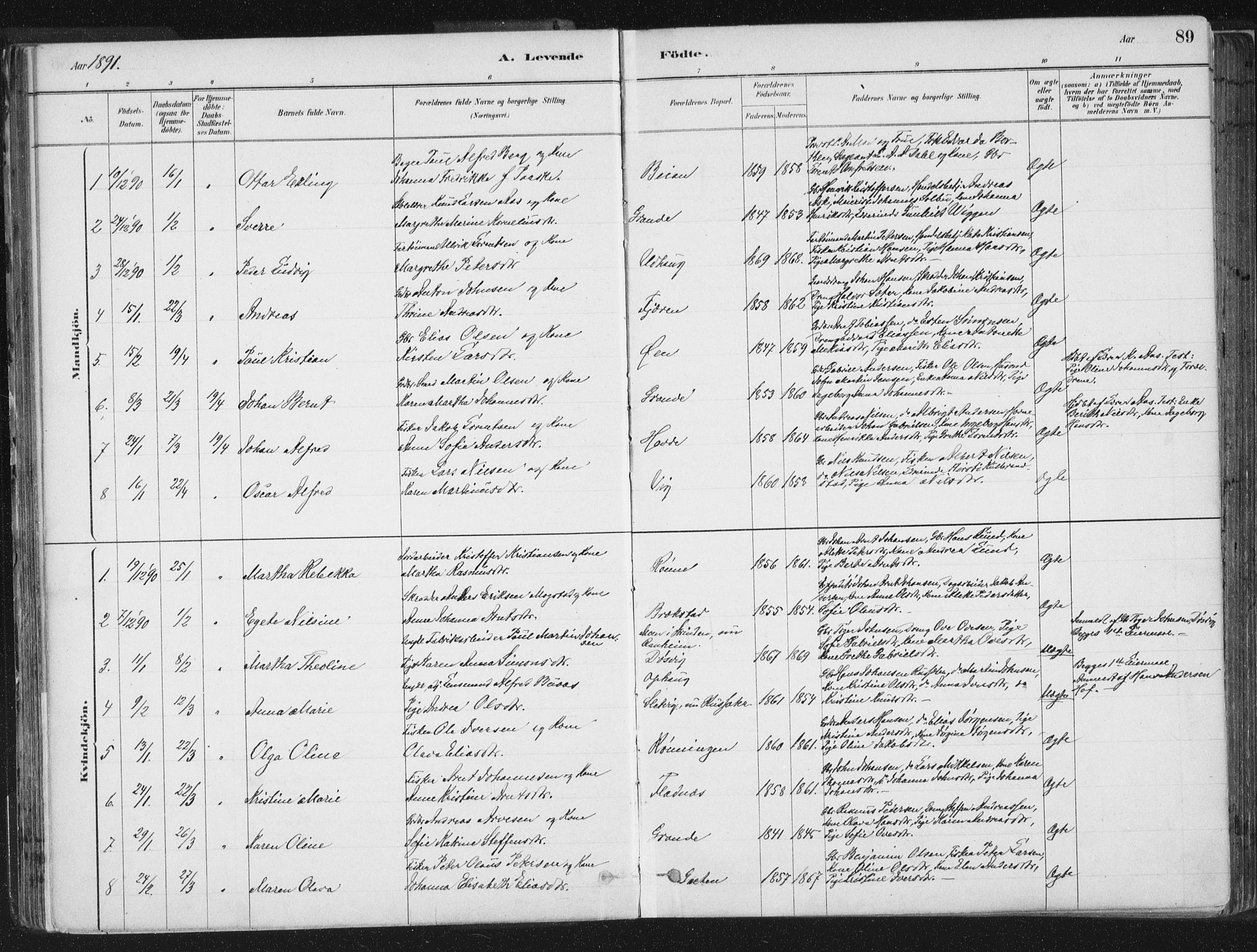 Ministerialprotokoller, klokkerbøker og fødselsregistre - Sør-Trøndelag, AV/SAT-A-1456/659/L0739: Parish register (official) no. 659A09, 1879-1893, p. 89