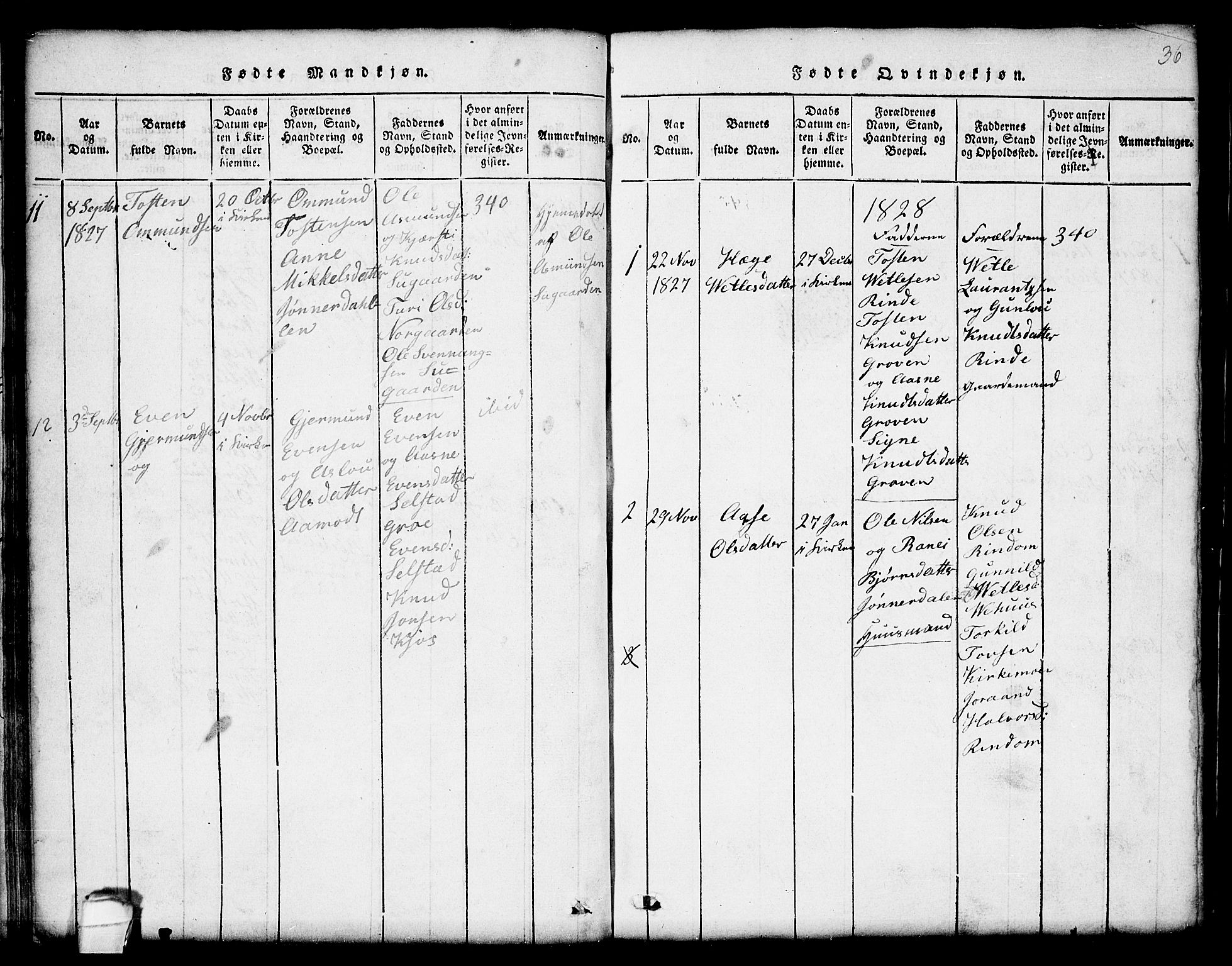Seljord kirkebøker, SAKO/A-20/G/Gc/L0001: Parish register (copy) no. III 1, 1815-1849, p. 36
