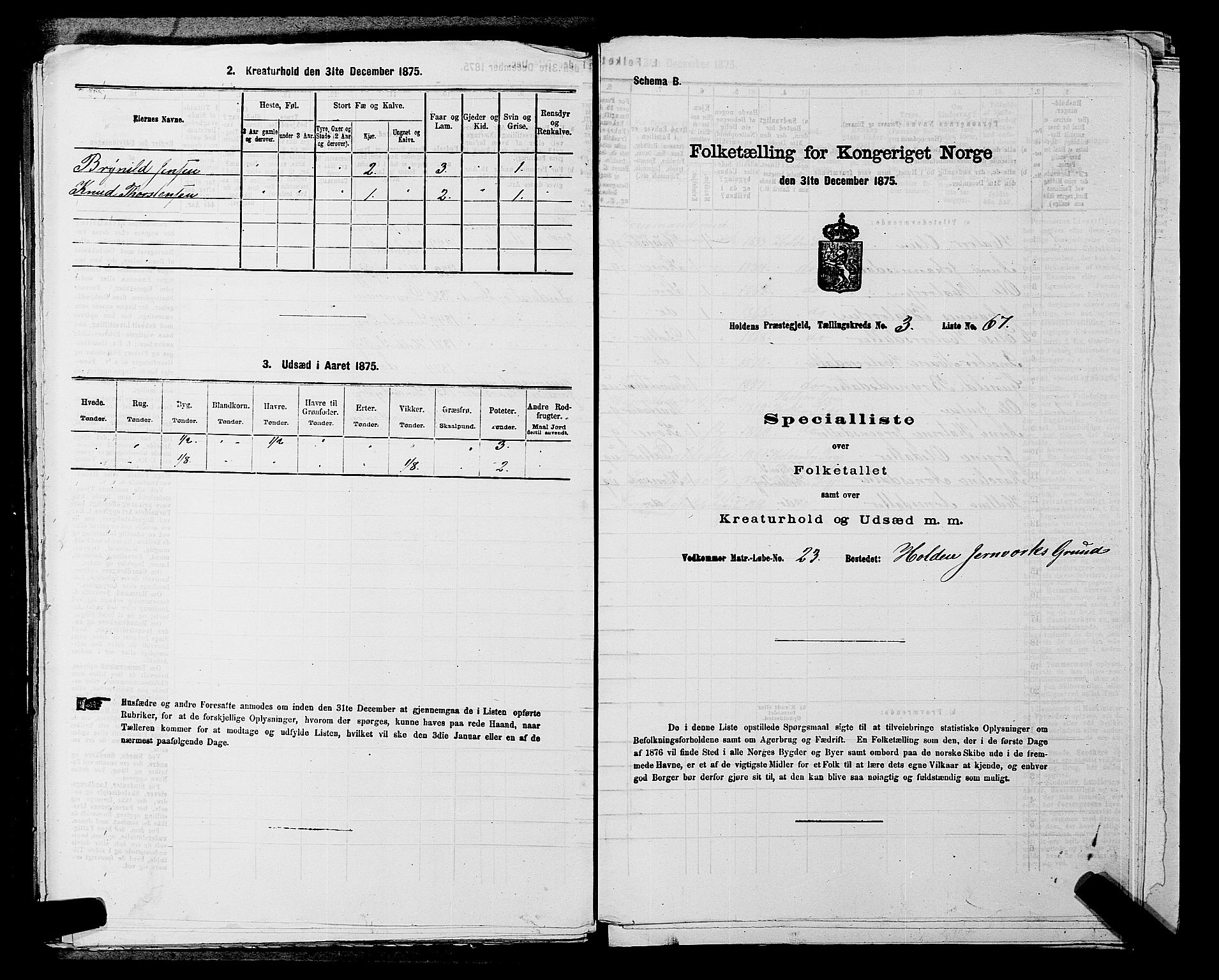 SAKO, 1875 census for 0819P Holla, 1875, p. 418