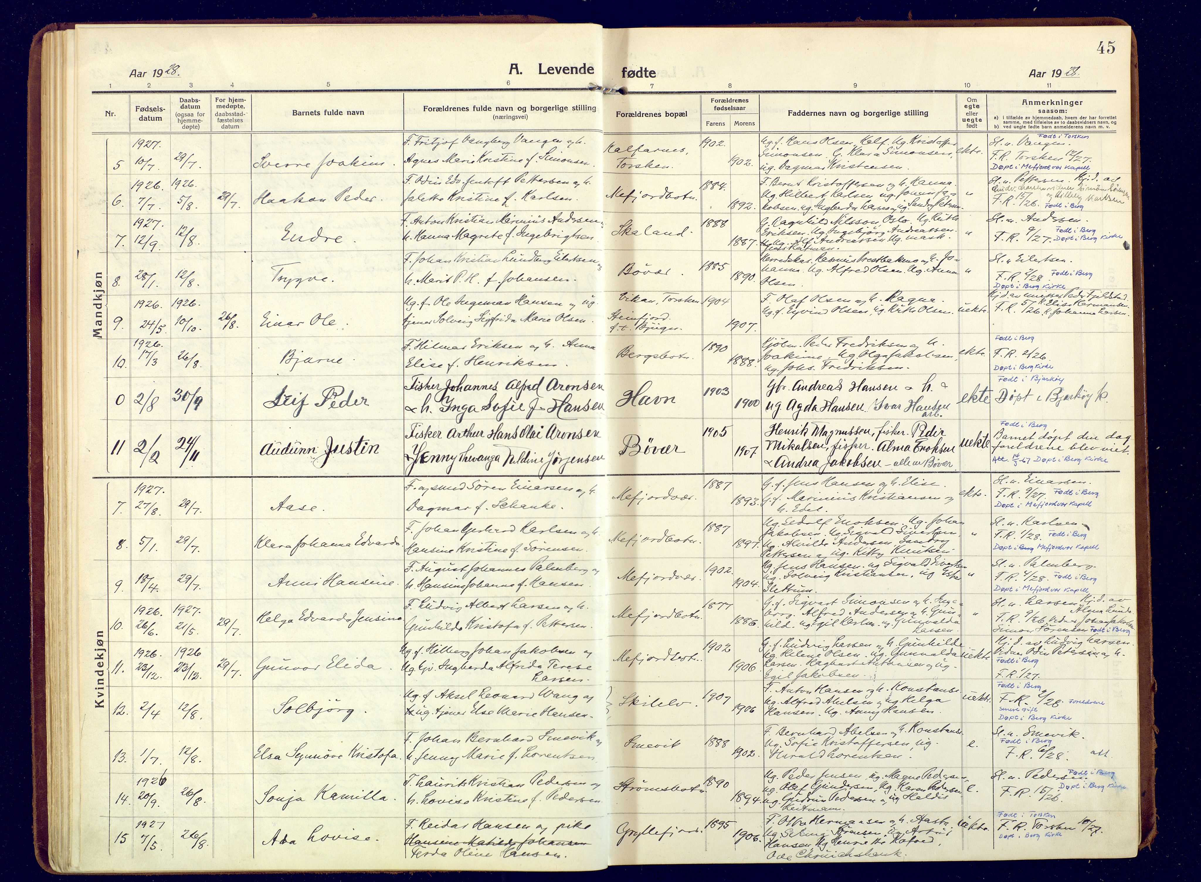 Berg sokneprestkontor, AV/SATØ-S-1318/G/Ga/Gaa/L0009kirke: Parish register (official) no. 9, 1916-1928, p. 45