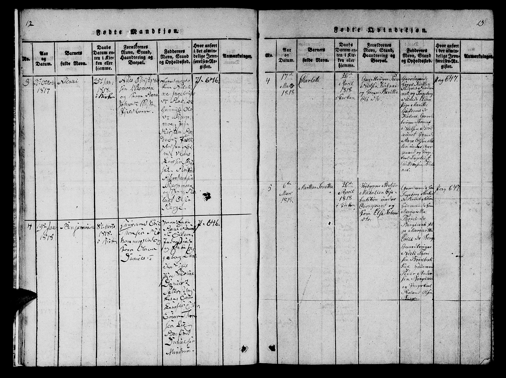 Ministerialprotokoller, klokkerbøker og fødselsregistre - Nord-Trøndelag, AV/SAT-A-1458/742/L0411: Parish register (copy) no. 742C02, 1817-1825, p. 12-13