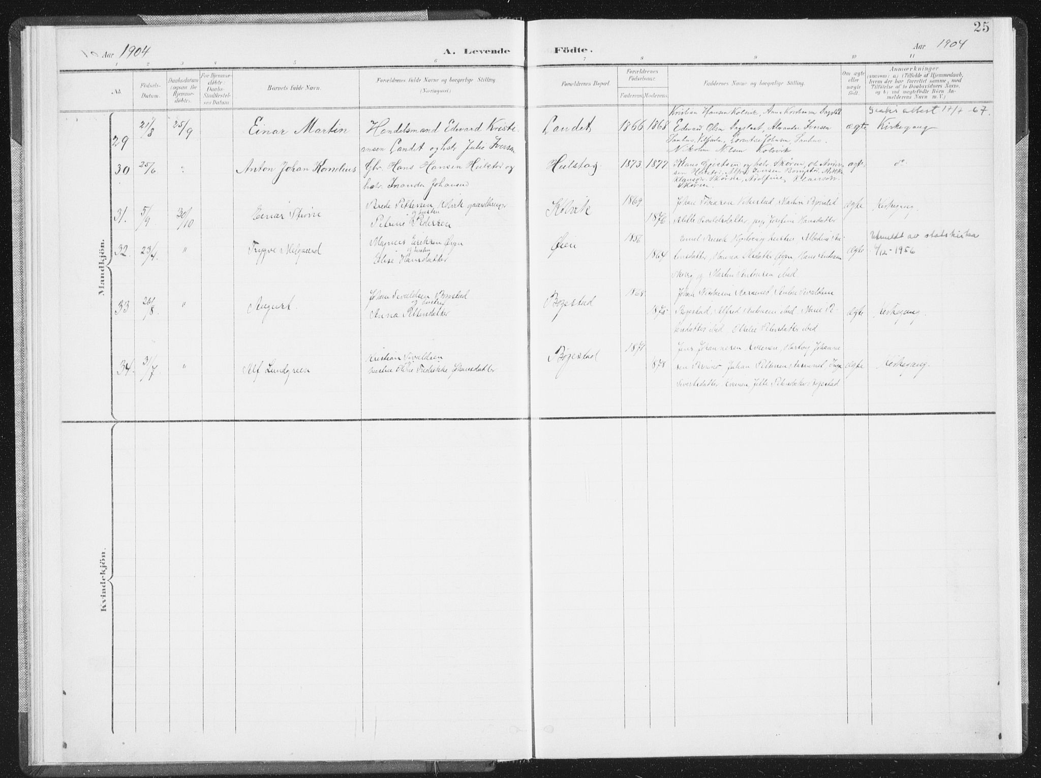 Ministerialprotokoller, klokkerbøker og fødselsregistre - Nordland, AV/SAT-A-1459/810/L0153: Parish register (official) no. 810A12, 1899-1914, p. 25