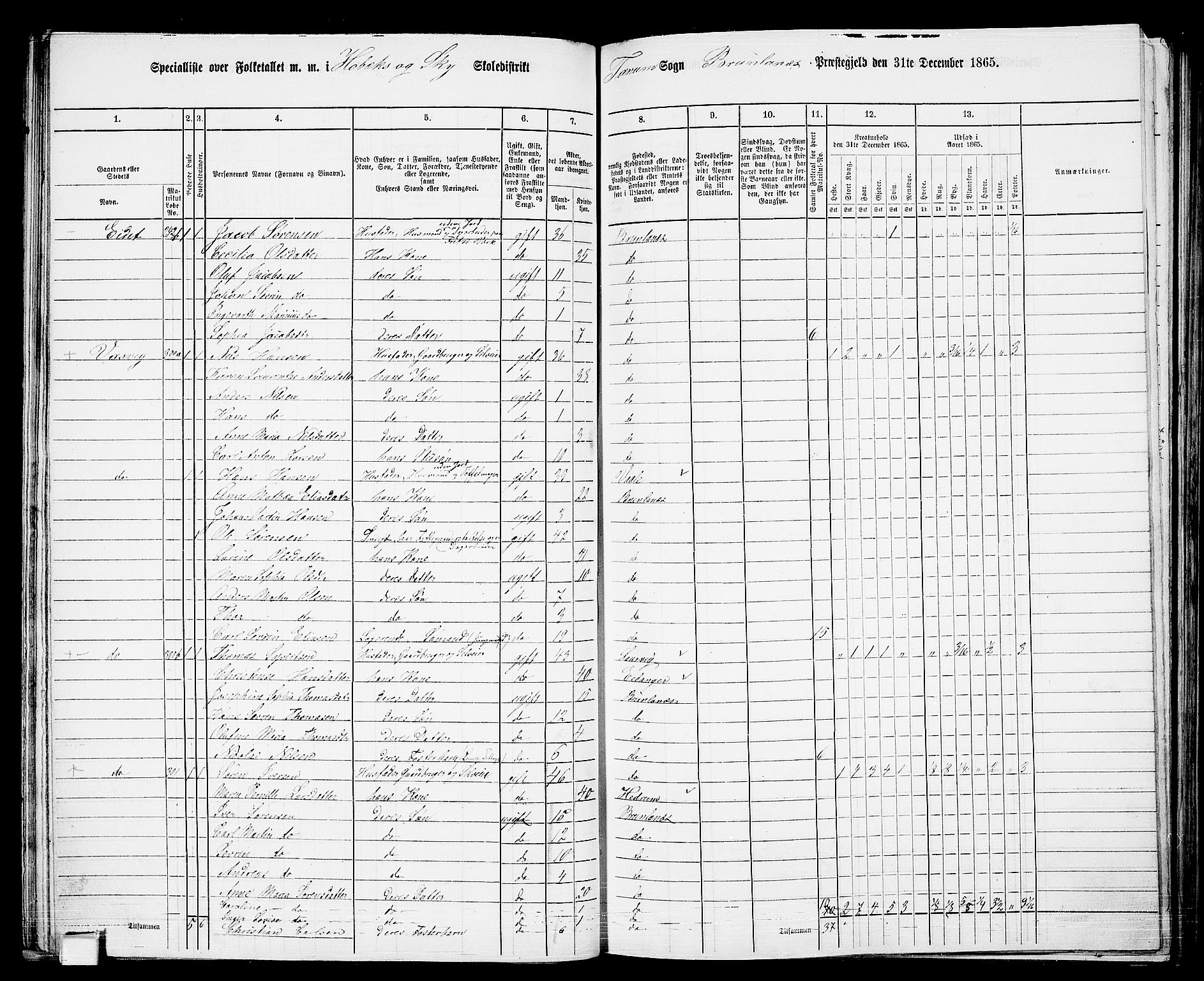 RA, 1865 census for Brunlanes, 1865, p. 39