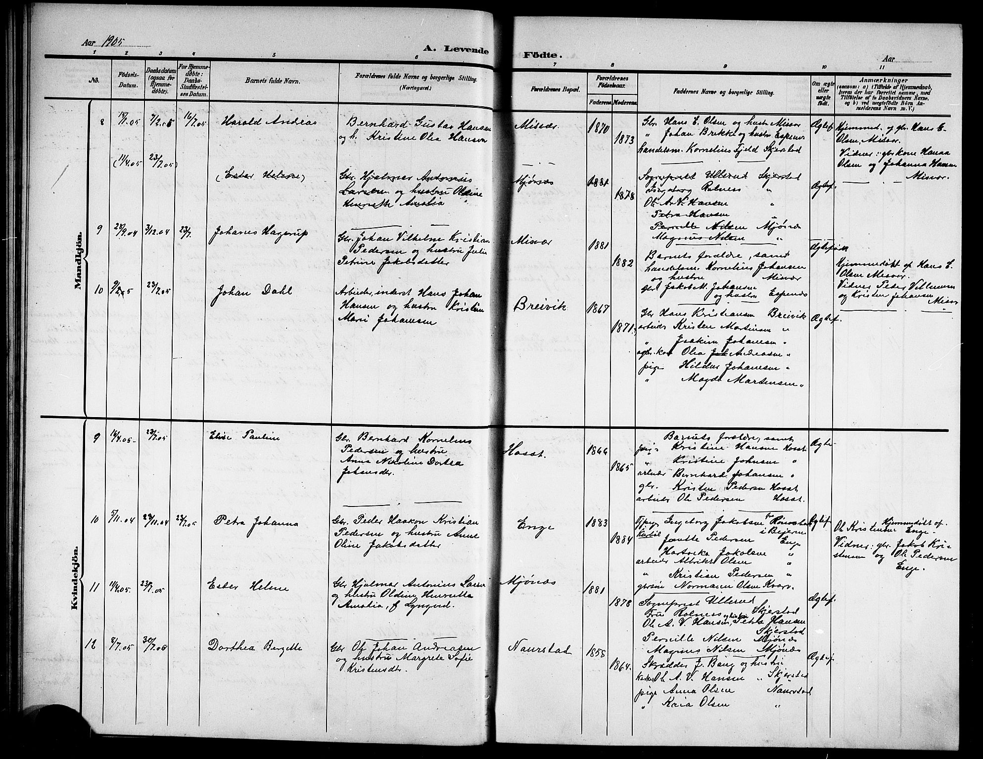 Ministerialprotokoller, klokkerbøker og fødselsregistre - Nordland, AV/SAT-A-1459/852/L0756: Parish register (copy) no. 852C07, 1902-1916