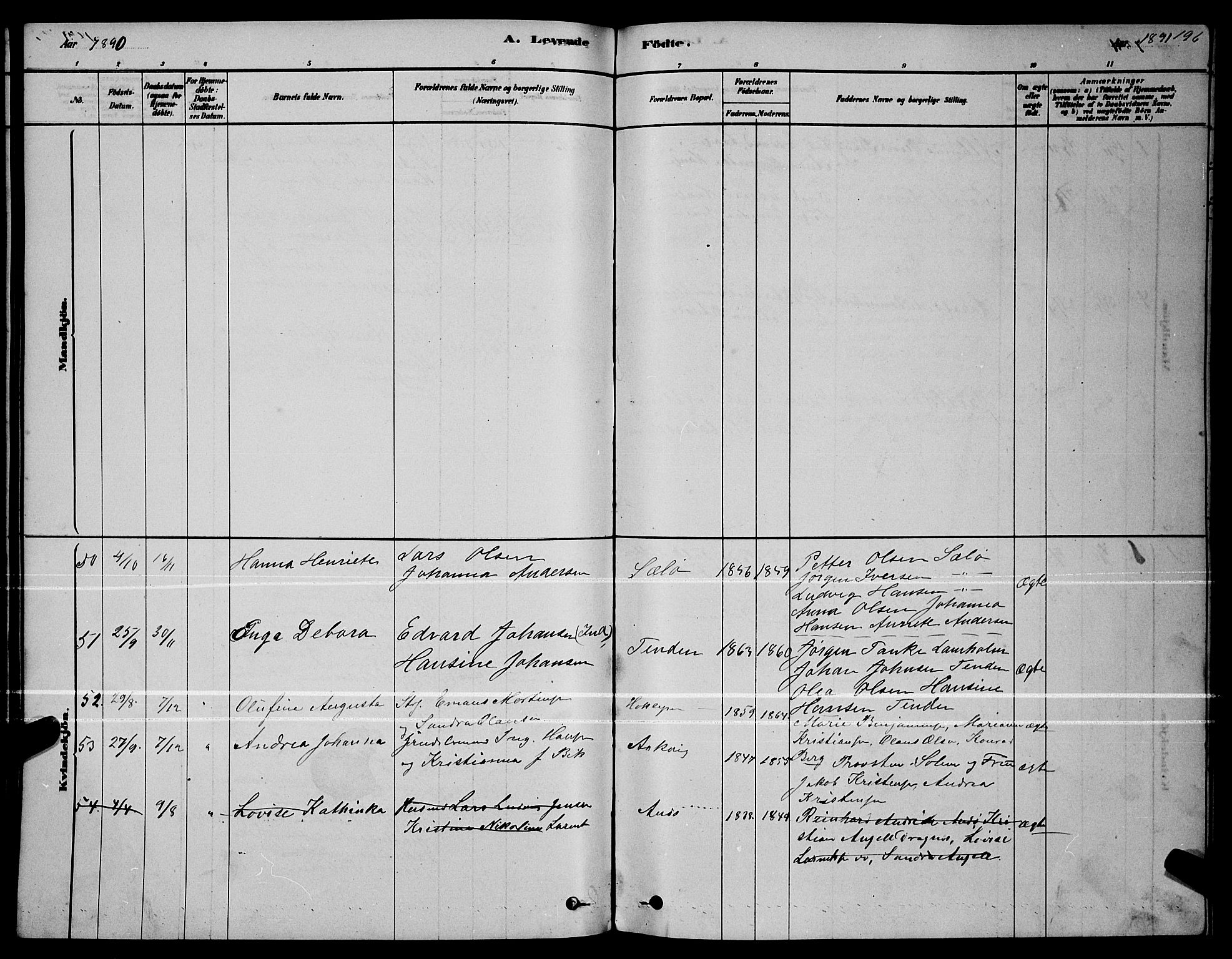 Ministerialprotokoller, klokkerbøker og fødselsregistre - Nordland, AV/SAT-A-1459/834/L0513: Parish register (copy) no. 834C04, 1877-1892, p. 196