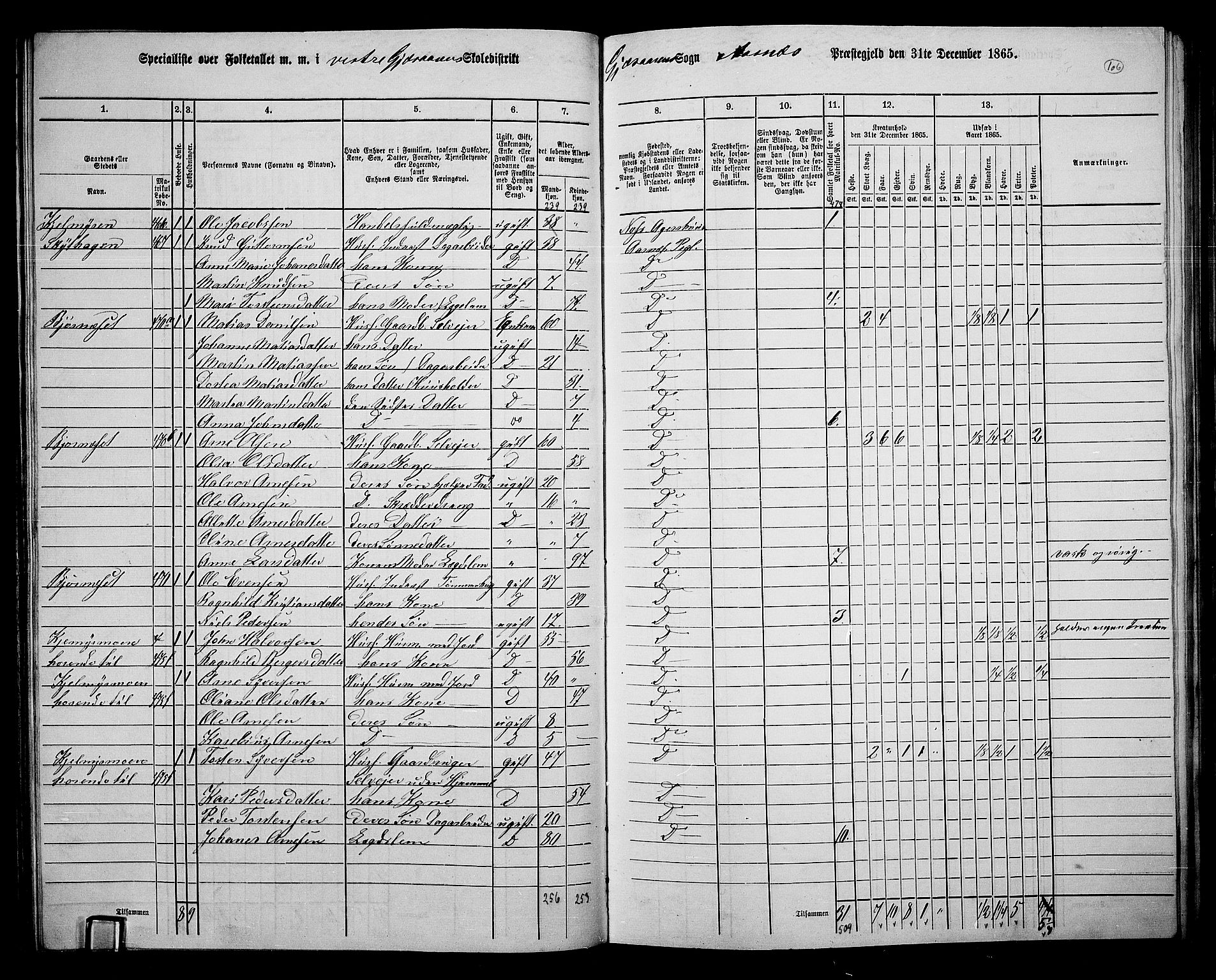 RA, 1865 census for Åsnes, 1865, p. 100