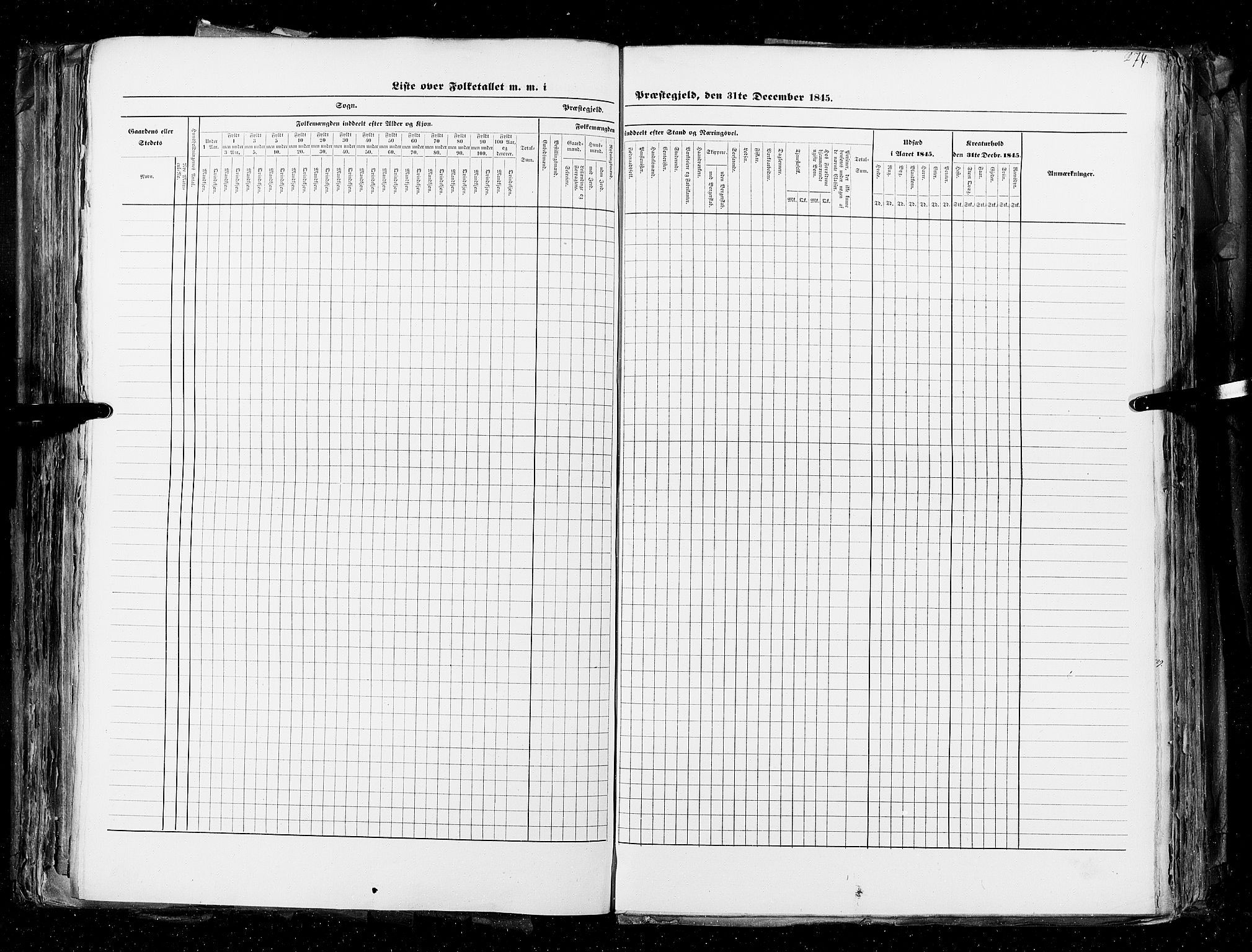 RA, Census 1845, vol. 4: Buskerud amt og Jarlsberg og Larvik amt, 1845, p. 274