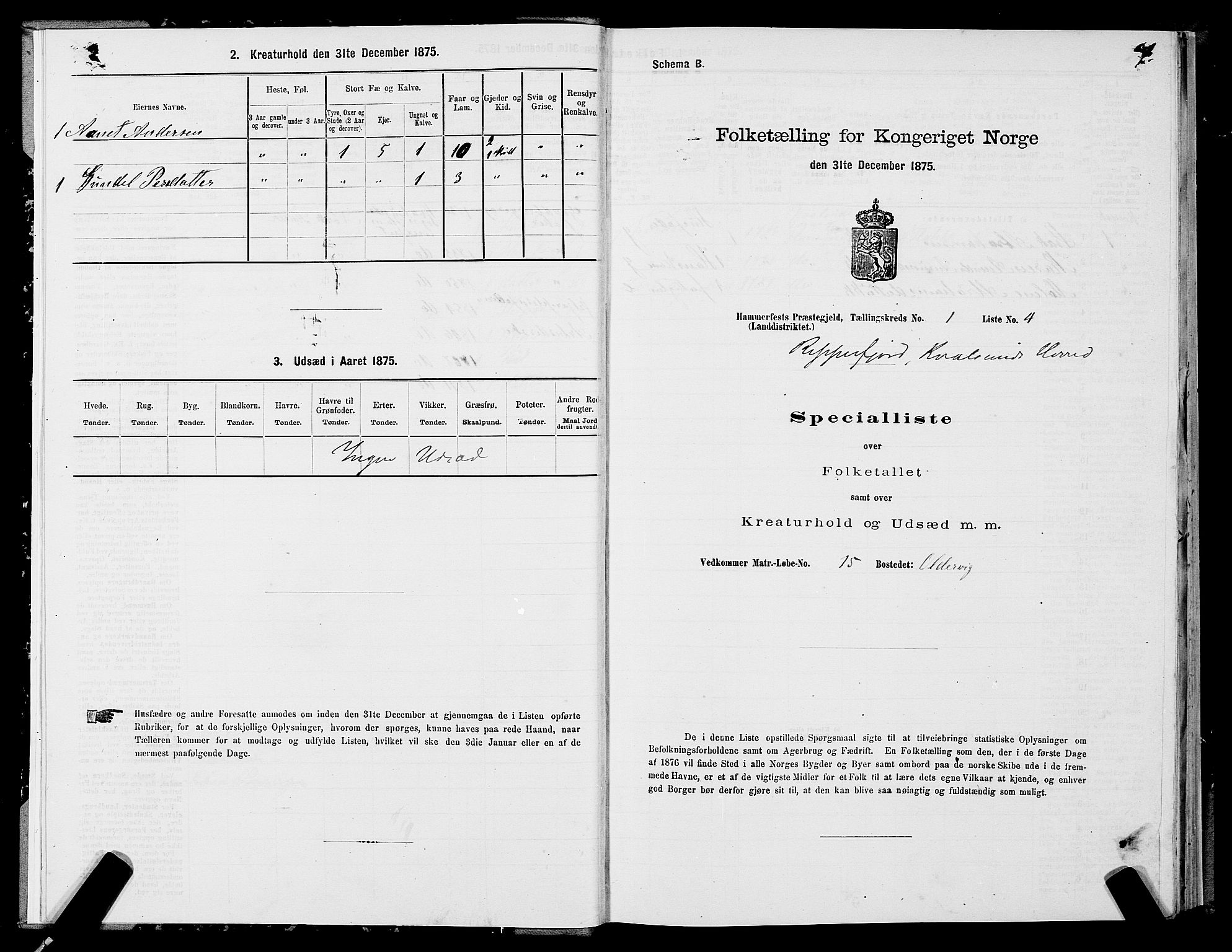 SATØ, 1875 census for 2016L Hammerfest/Hammerfest og Kvalsund, 1875, p. 2007