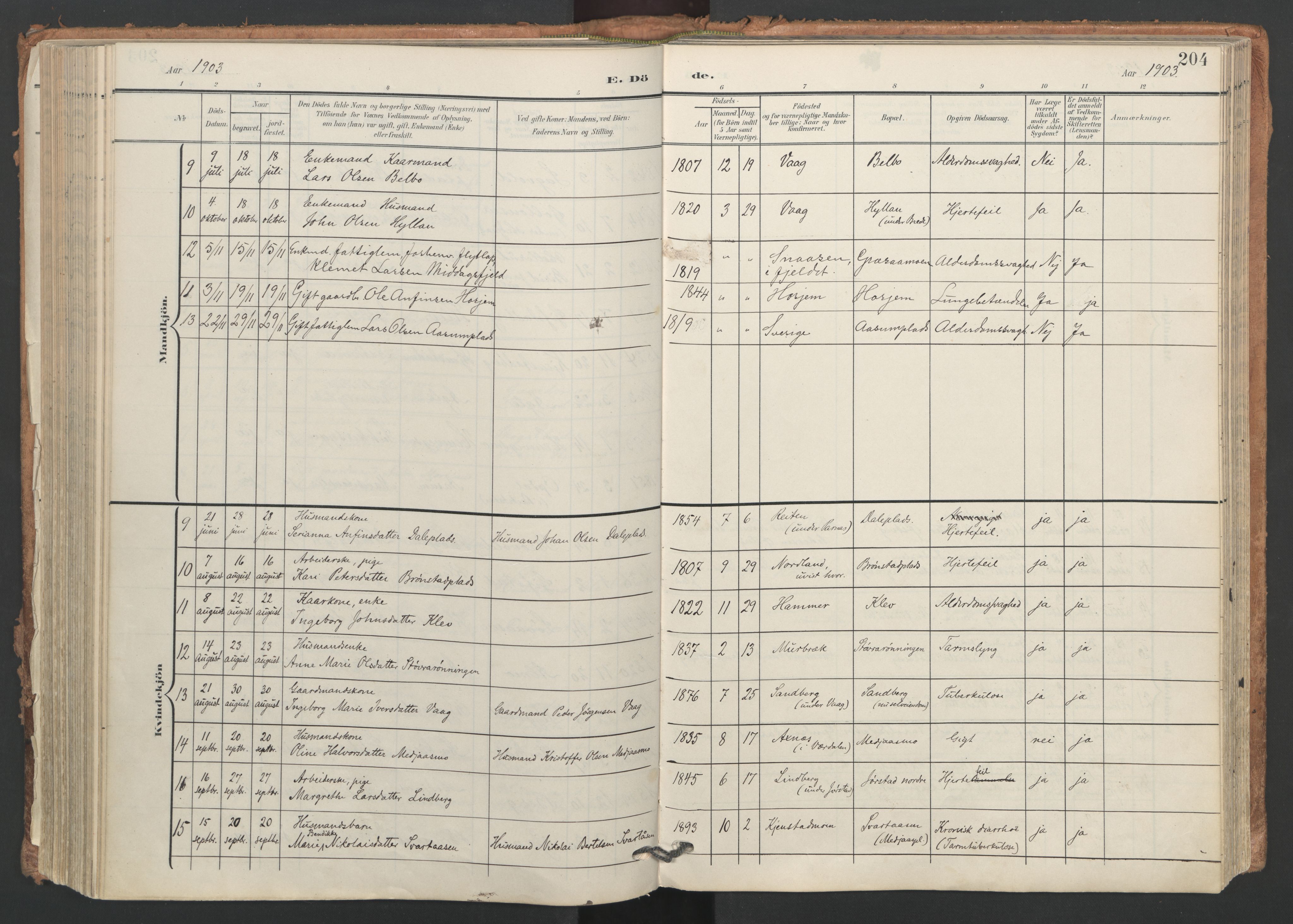 Ministerialprotokoller, klokkerbøker og fødselsregistre - Nord-Trøndelag, AV/SAT-A-1458/749/L0477: Parish register (official) no. 749A11, 1902-1927, p. 204