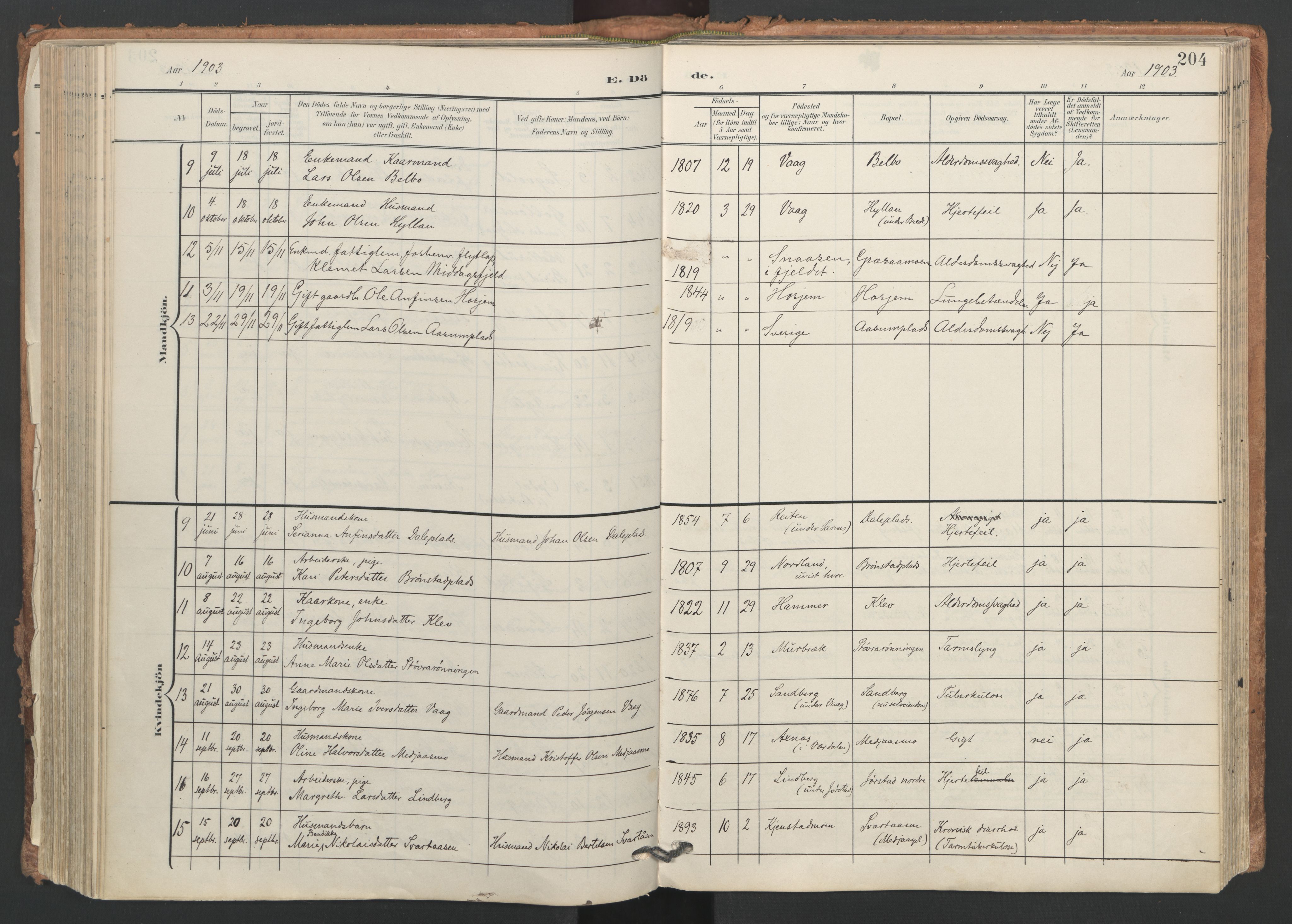 Ministerialprotokoller, klokkerbøker og fødselsregistre - Nord-Trøndelag, SAT/A-1458/749/L0477: Parish register (official) no. 749A11, 1902-1927, p. 204