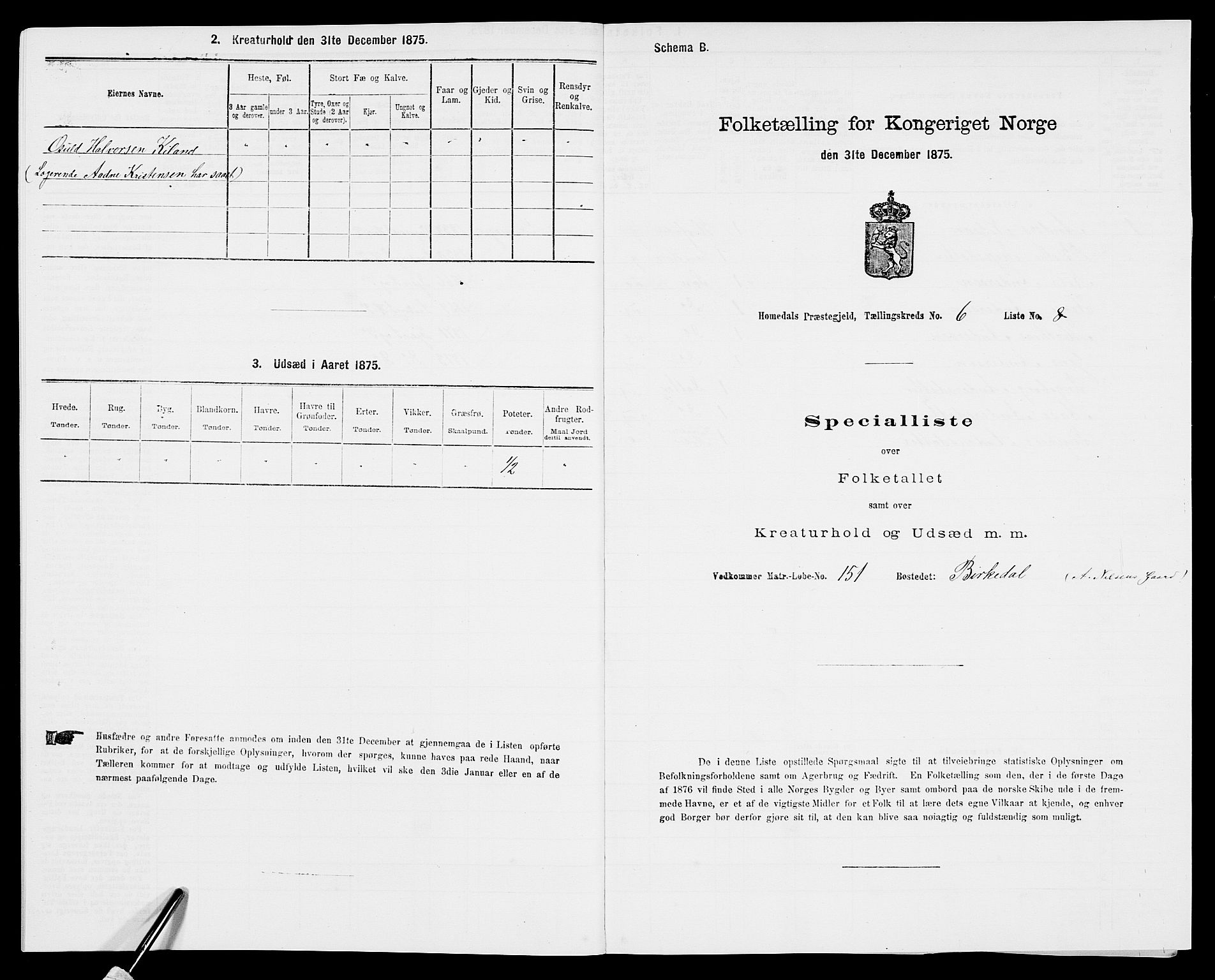 SAK, 1875 census for 0924P Homedal, 1875, p. 1052