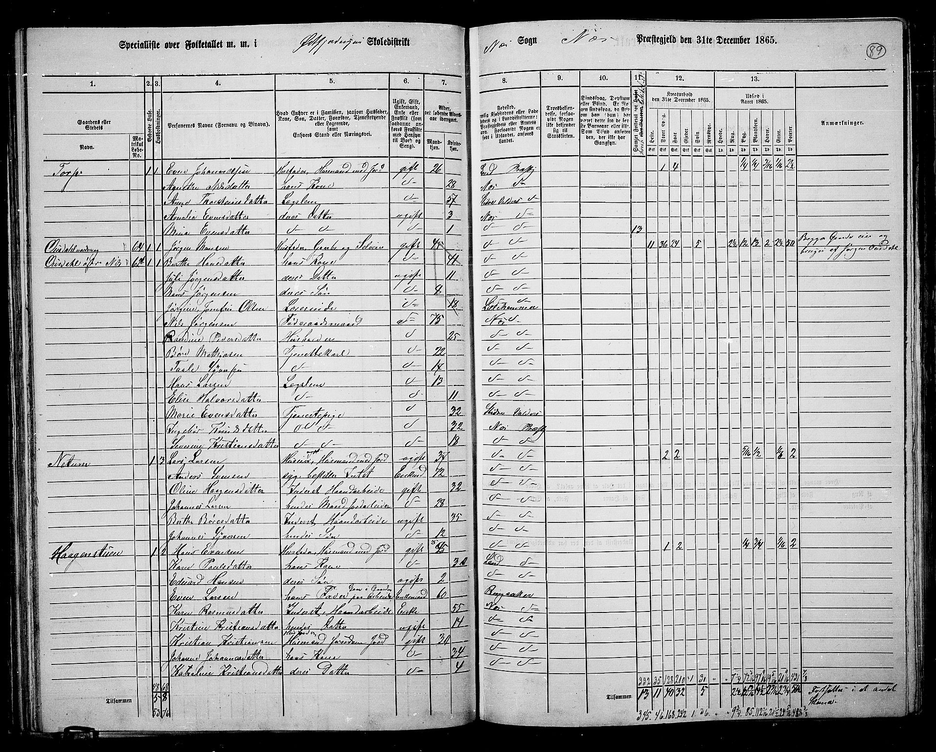 RA, 1865 census for Nes, 1865, p. 77