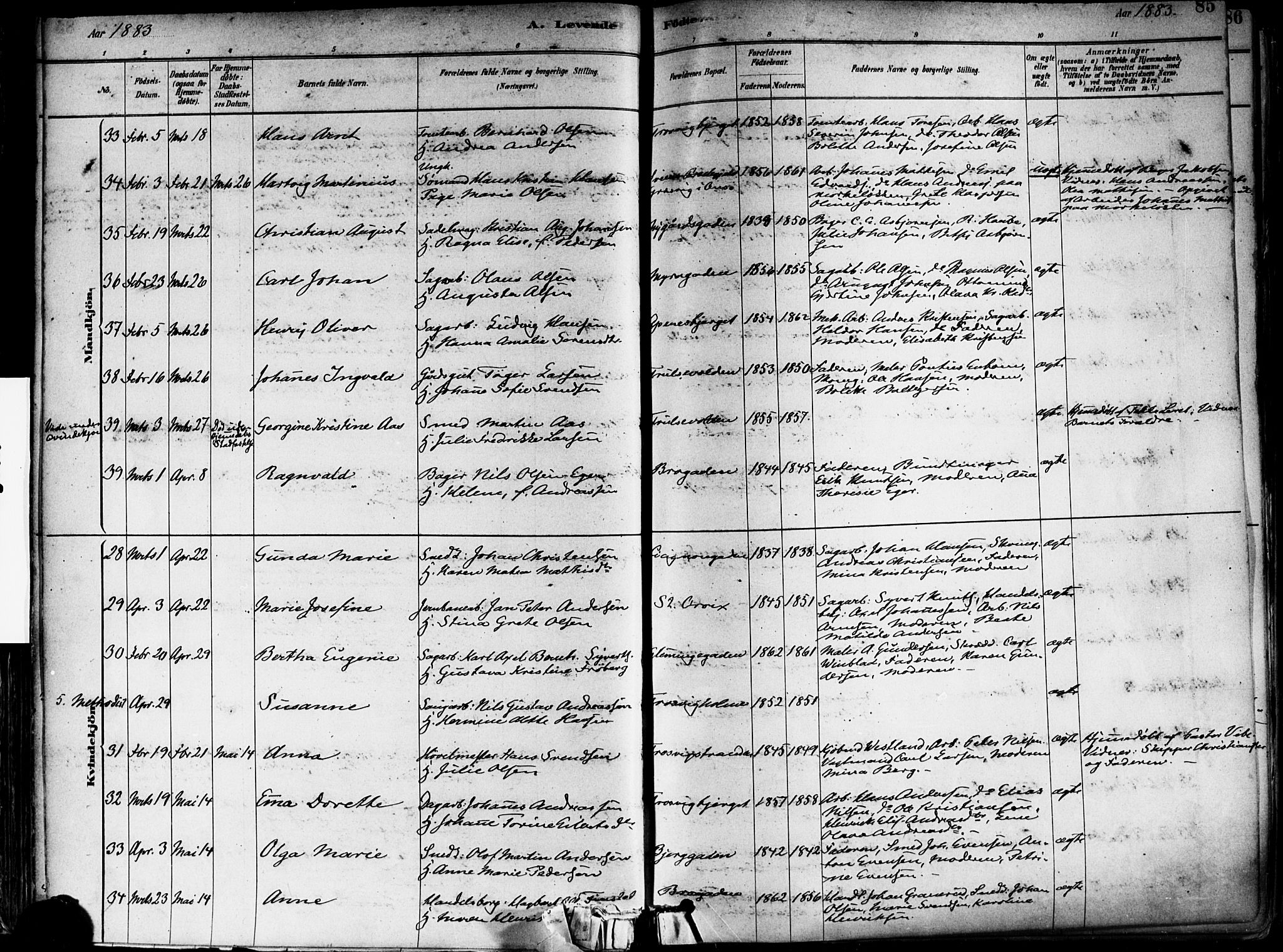Fredrikstad domkirkes prestekontor Kirkebøker, AV/SAO-A-10906/F/Fa/L0002: Parish register (official) no. 2, 1878-1894, p. 85