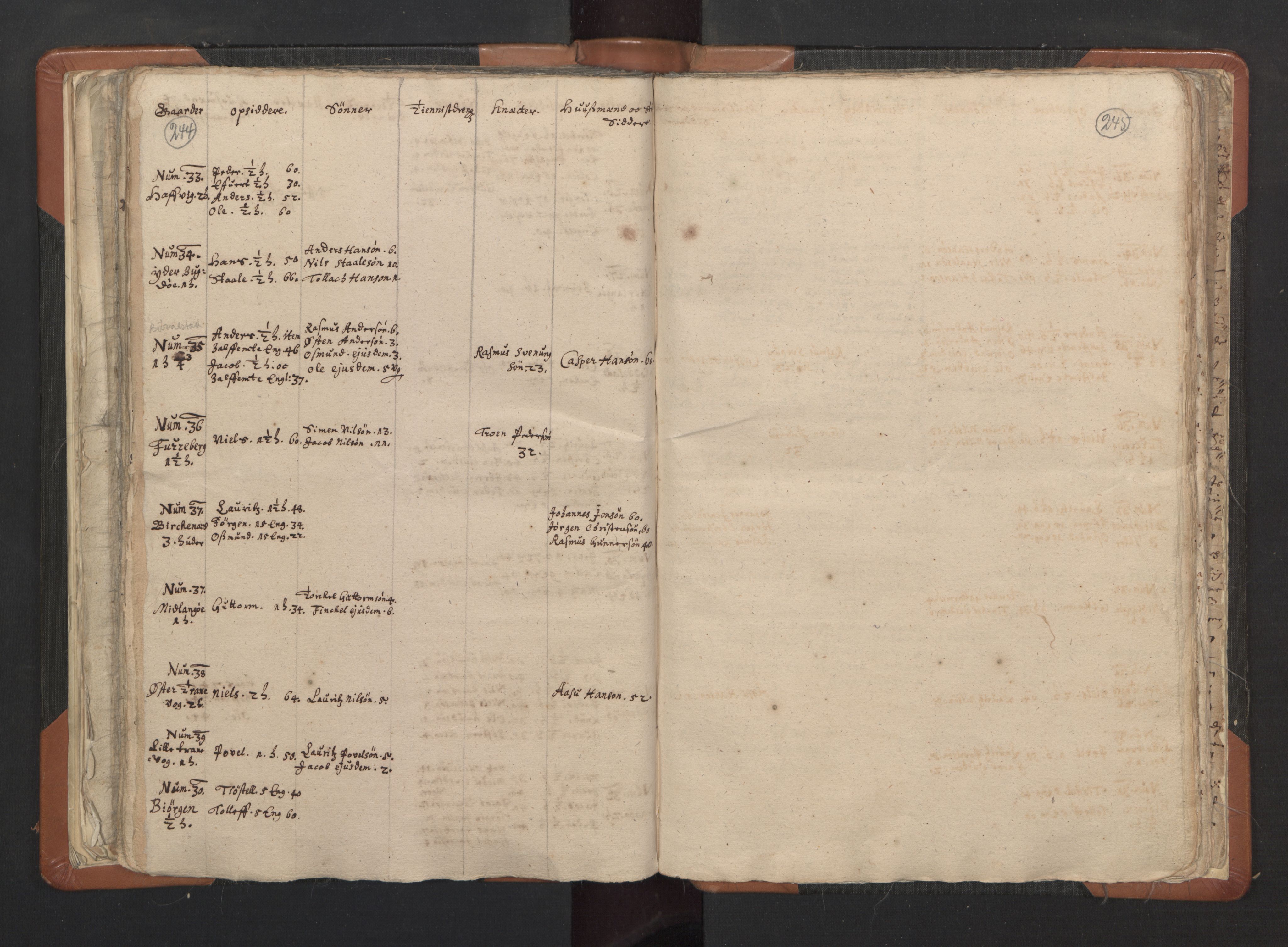 RA, Vicar's Census 1664-1666, no. 16: Lista deanery, 1664-1666, p. 244-245