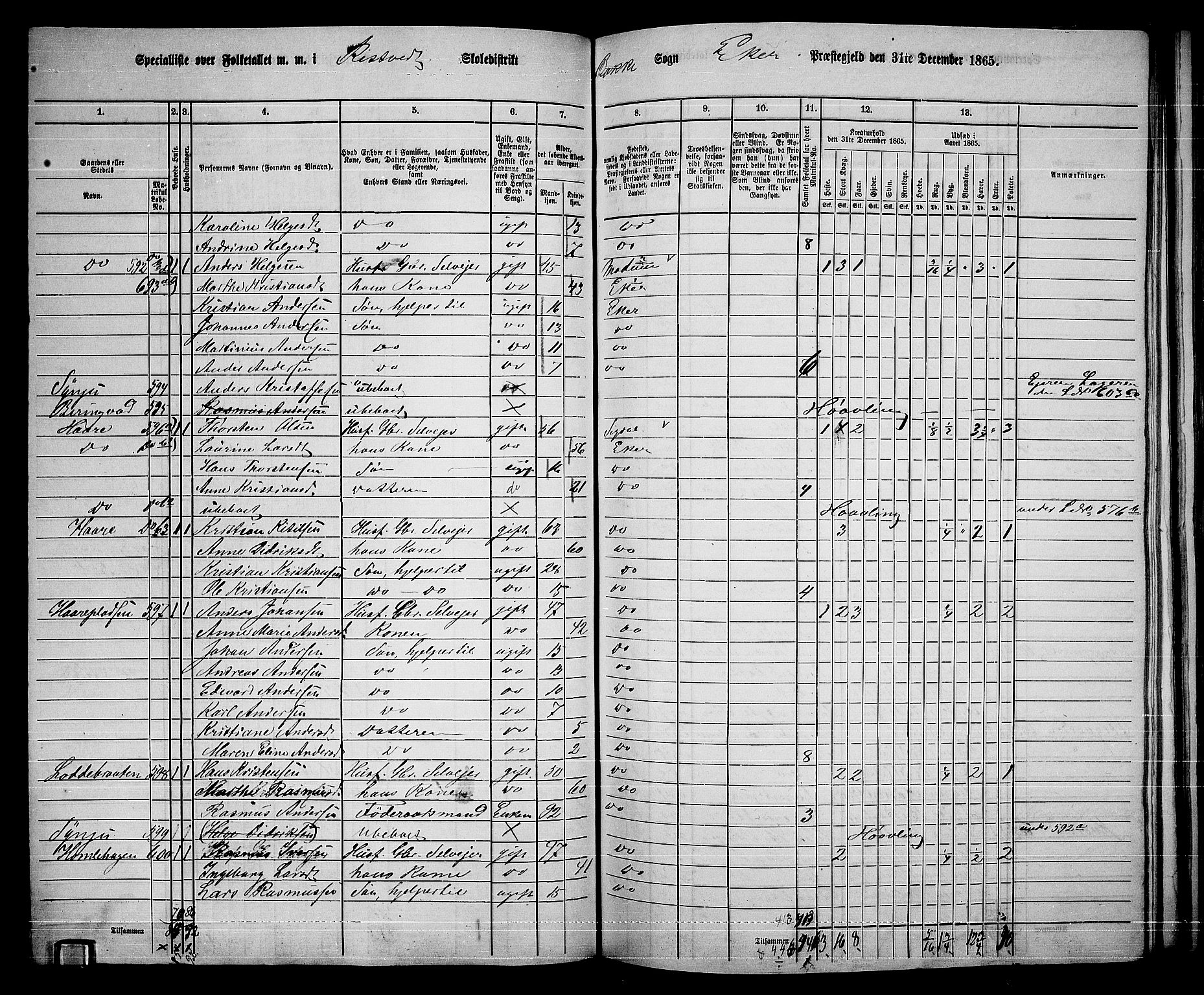RA, 1865 census for Eiker, 1865, p. 430