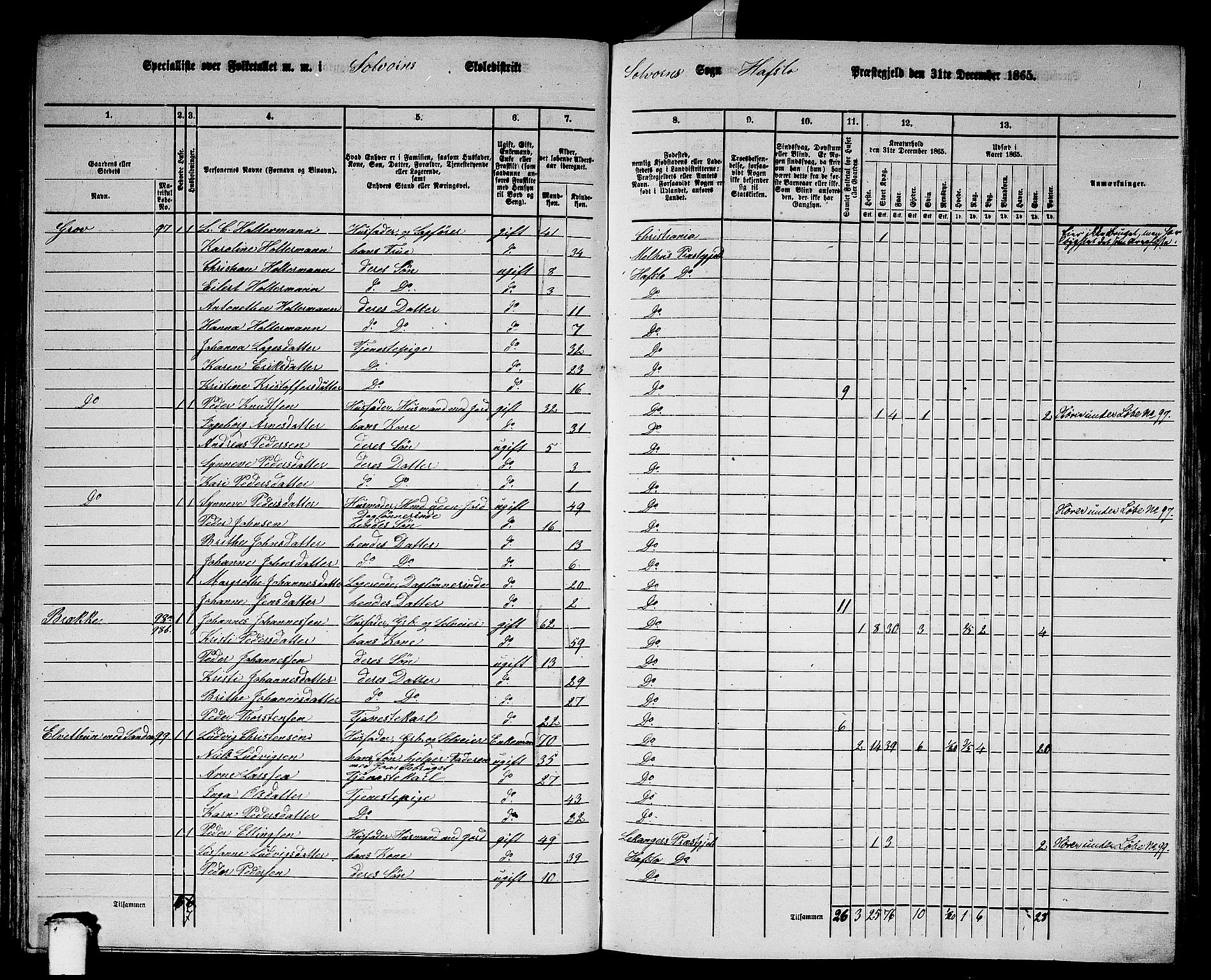 RA, 1865 census for Hafslo, 1865, p. 66