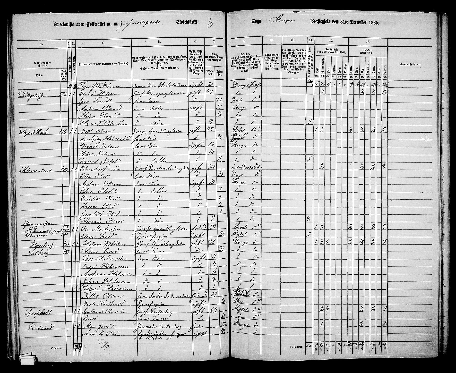 RA, 1865 census for Skoger, 1865, p. 98