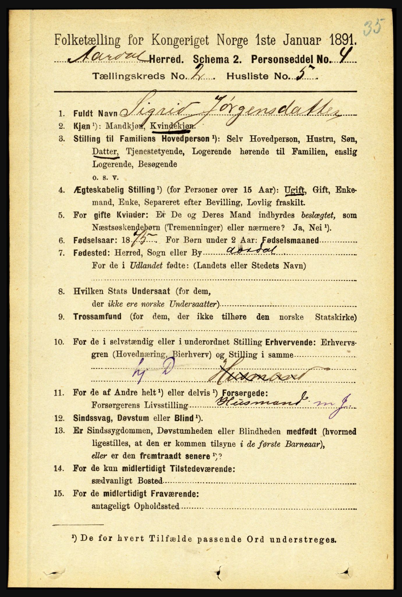 RA, 1891 census for 1424 Årdal, 1891, p. 199