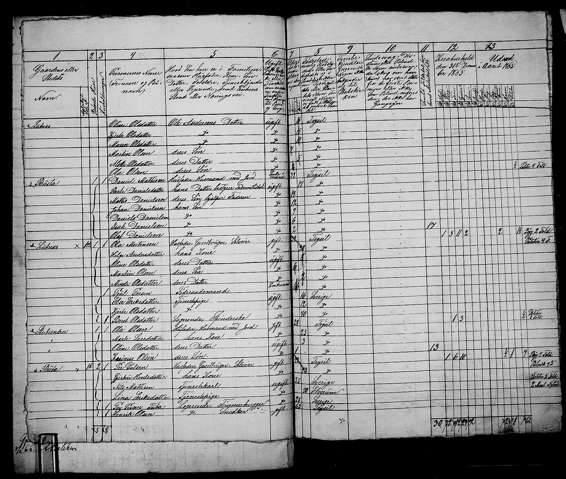 RA, 1865 census for Trysil, 1865, p. 107