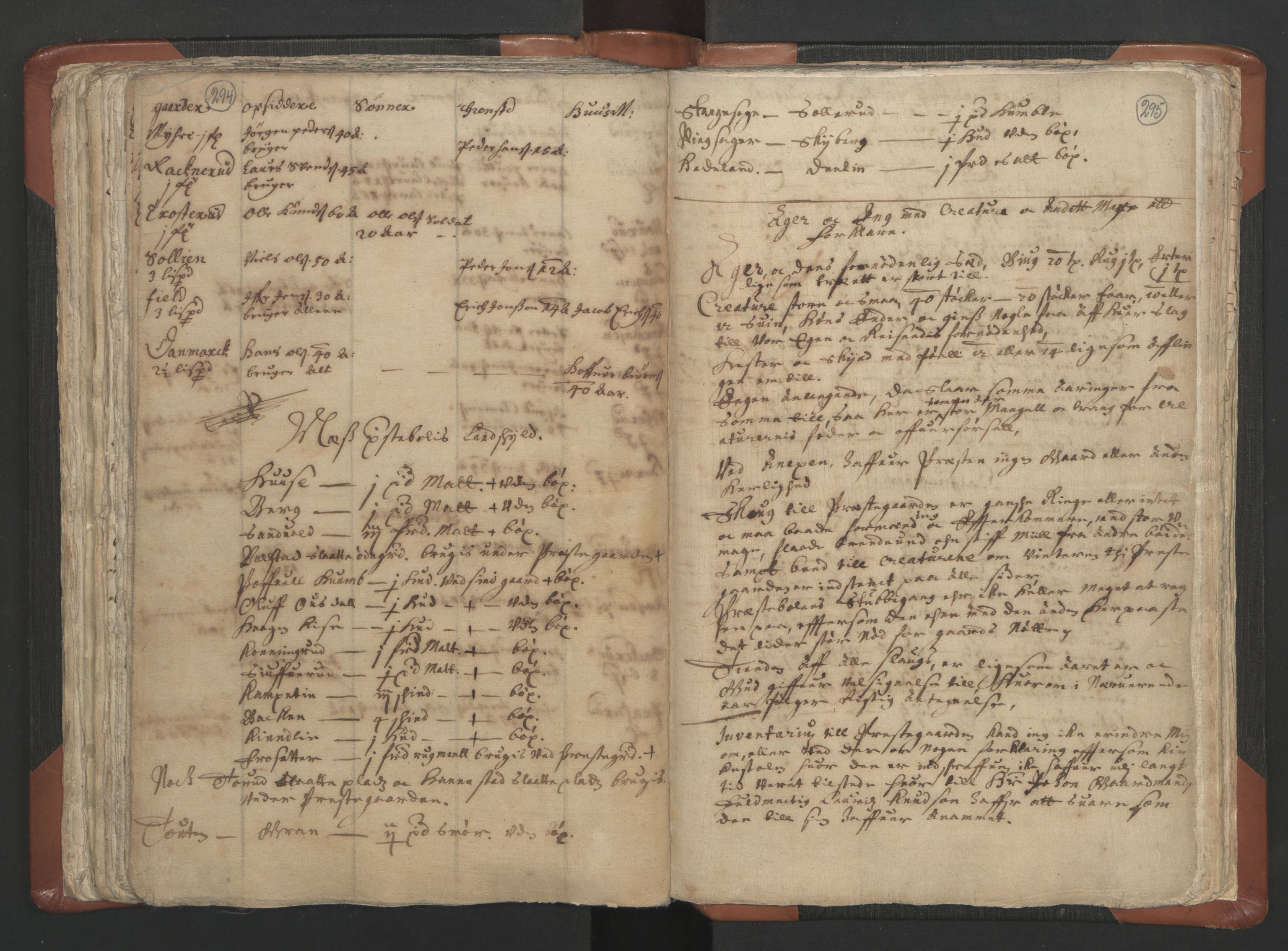 RA, Vicar's Census 1664-1666, no. 5: Hedmark deanery, 1664-1666, p. 294-295