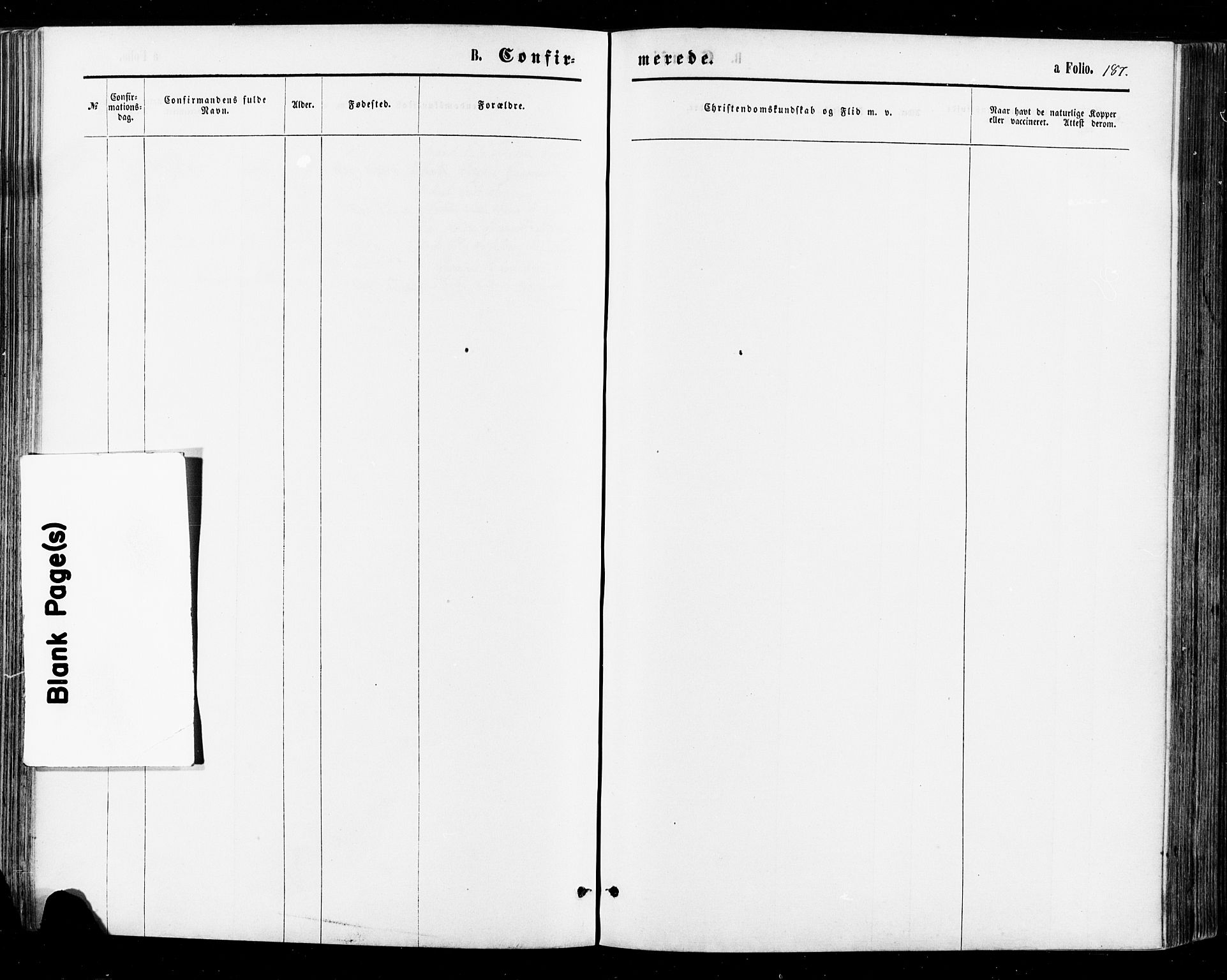 Sirdal sokneprestkontor, AV/SAK-1111-0036/F/Fa/Fab/L0003: Parish register (official) no. A 3, 1874-1886, p. 187