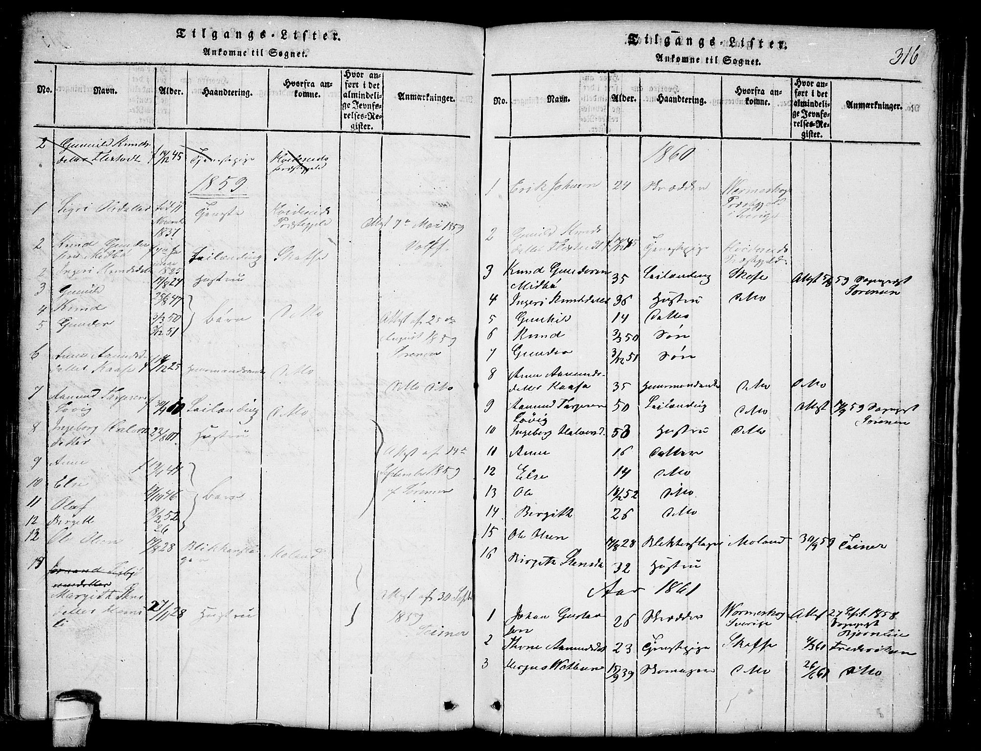 Lårdal kirkebøker, SAKO/A-284/G/Ga/L0001: Parish register (copy) no. I 1, 1815-1861, p. 316