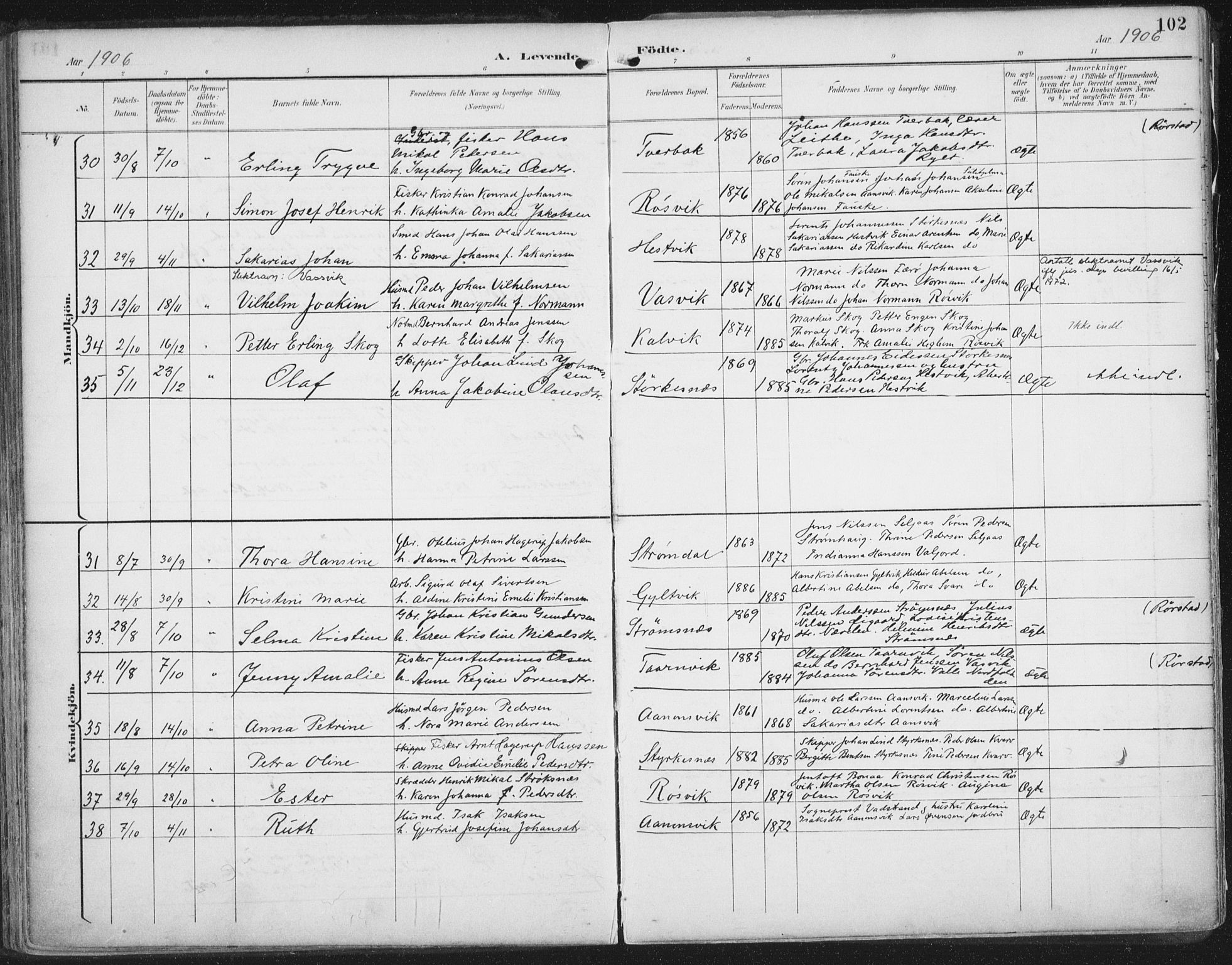 Ministerialprotokoller, klokkerbøker og fødselsregistre - Nordland, AV/SAT-A-1459/854/L0779: Parish register (official) no. 854A02, 1892-1909, p. 102