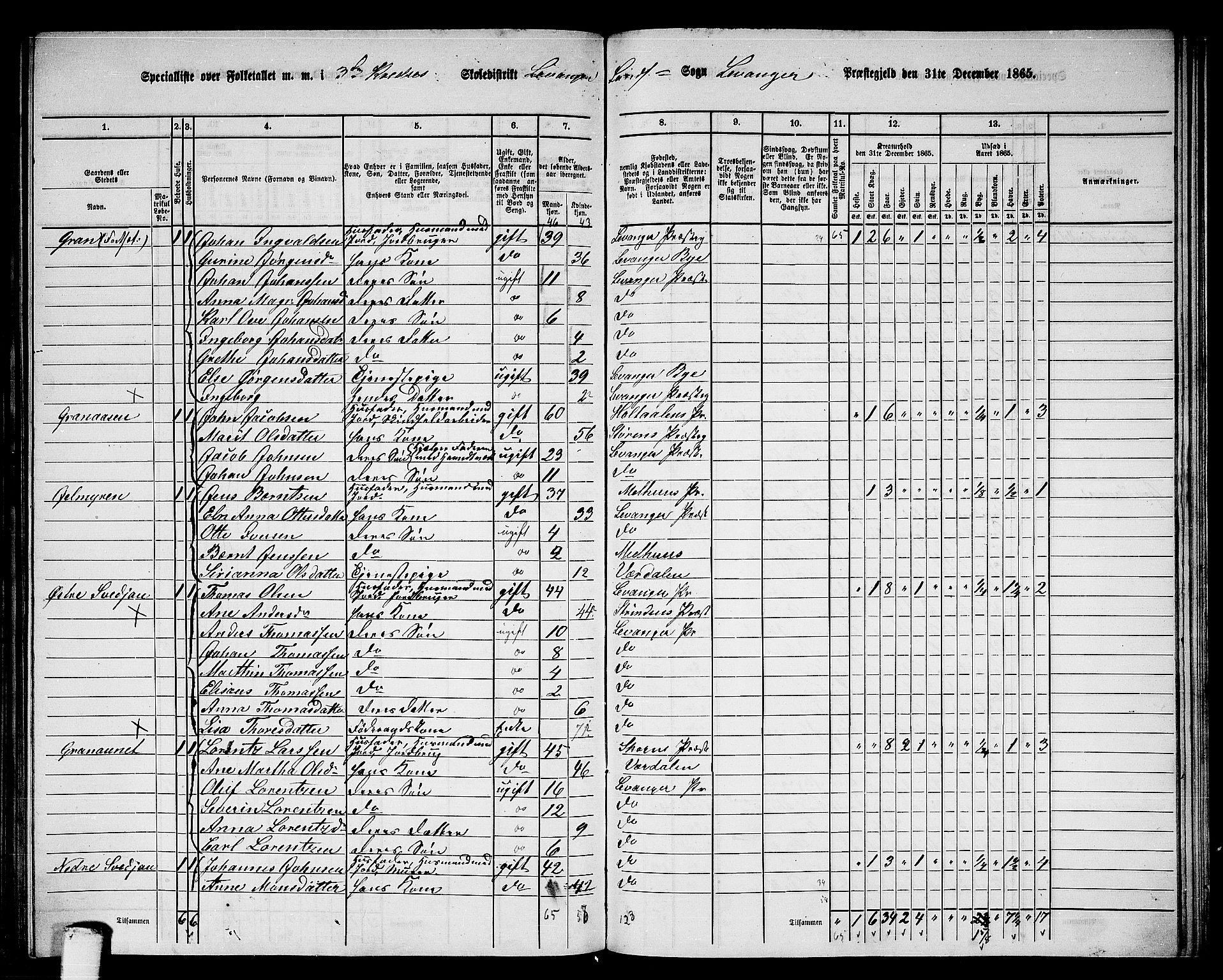 RA, 1865 census for Levanger/Levanger, 1865, p. 61