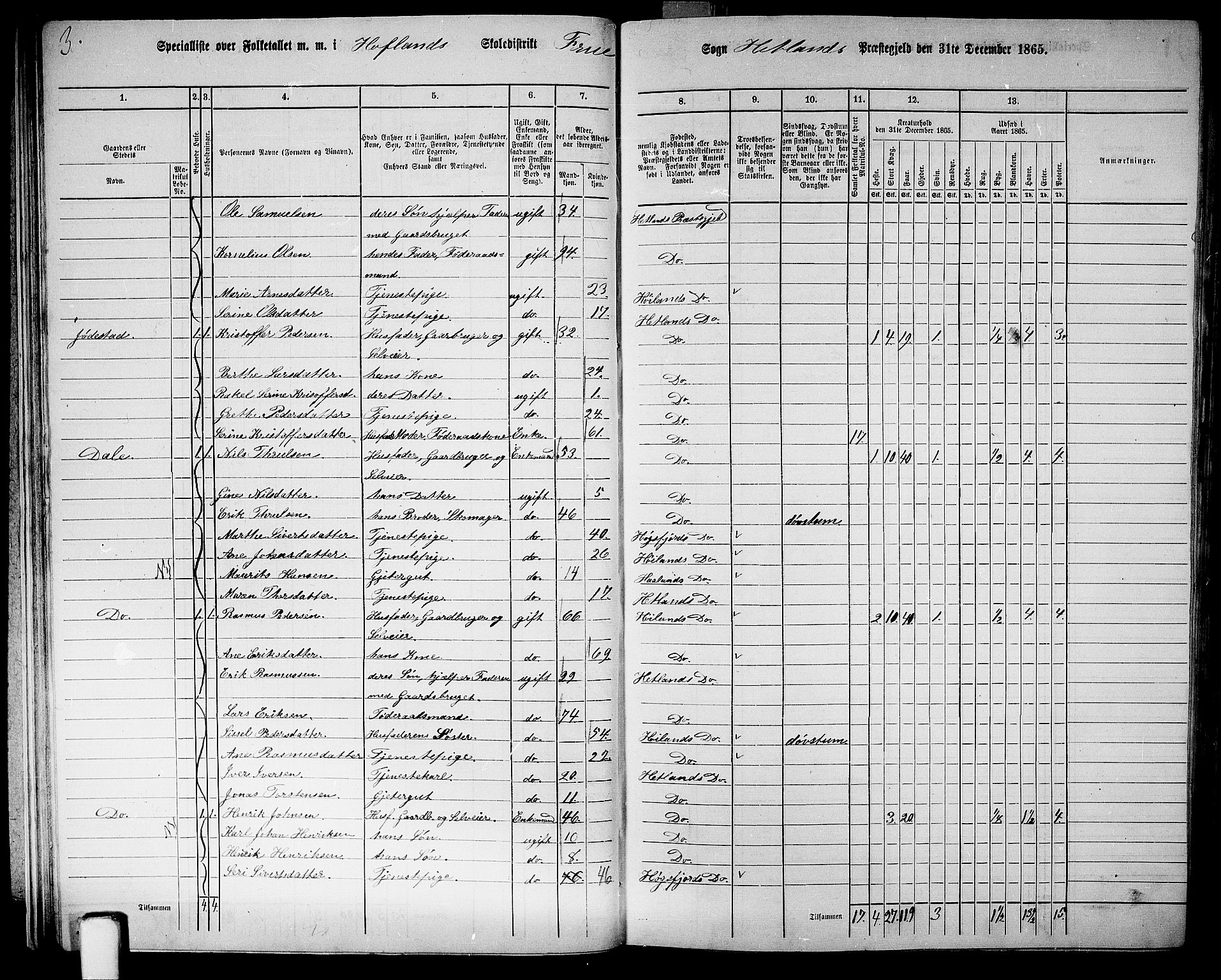 RA, 1865 census for Hetland, 1865, p. 34