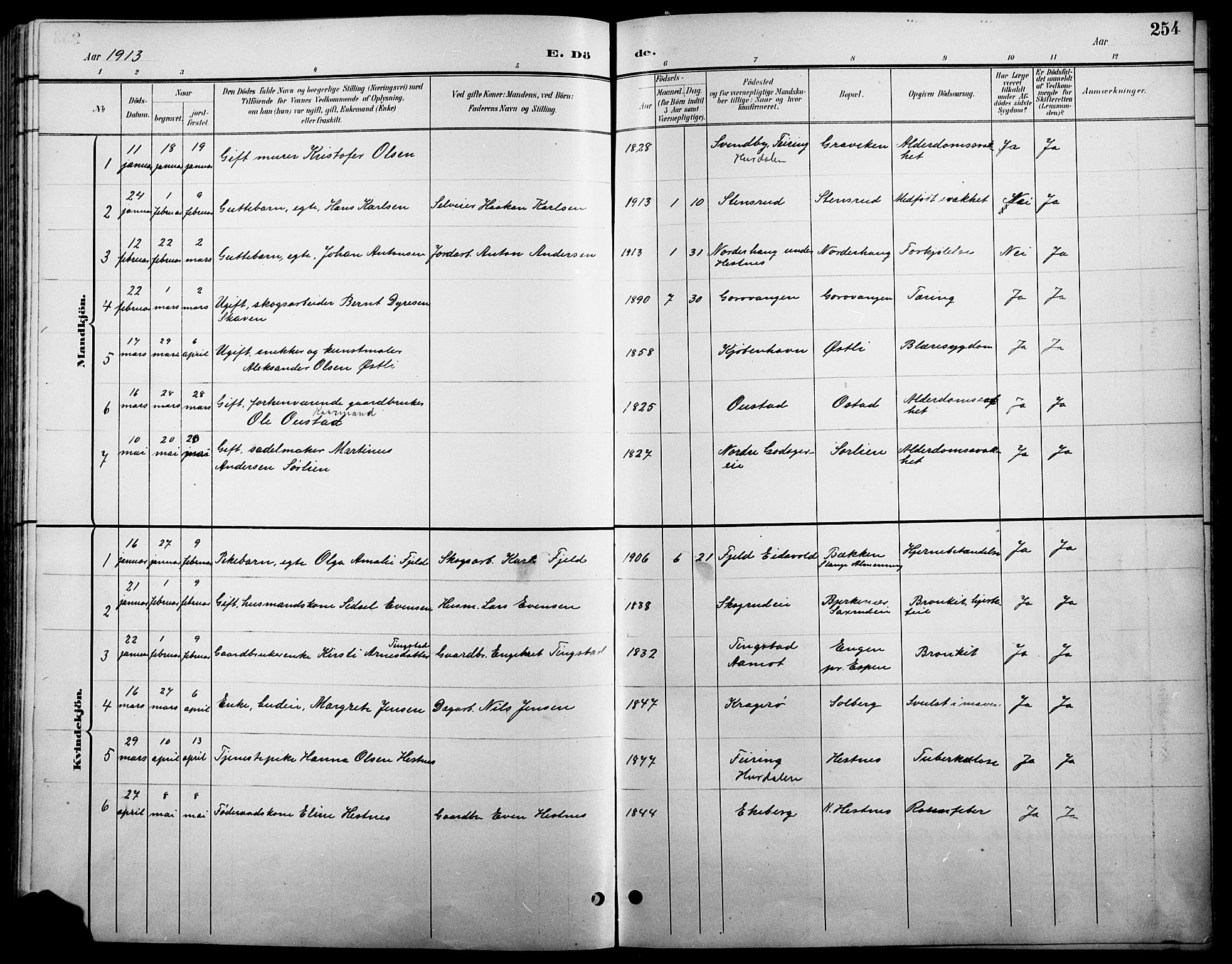 Stange prestekontor, SAH/PREST-002/L/L0011: Parish register (copy) no. 11, 1895-1917, p. 254