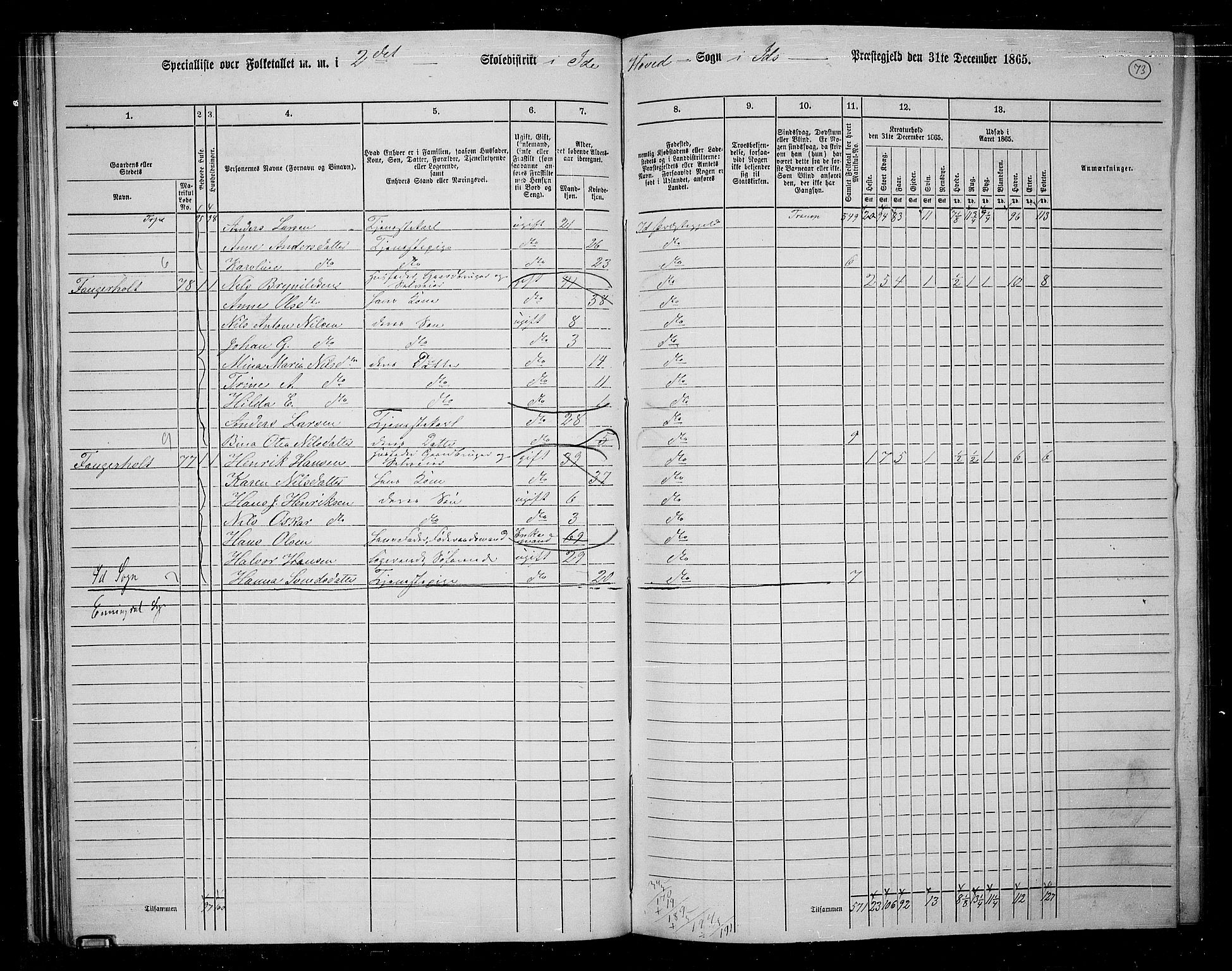 RA, 1865 census for Idd, 1865, p. 65