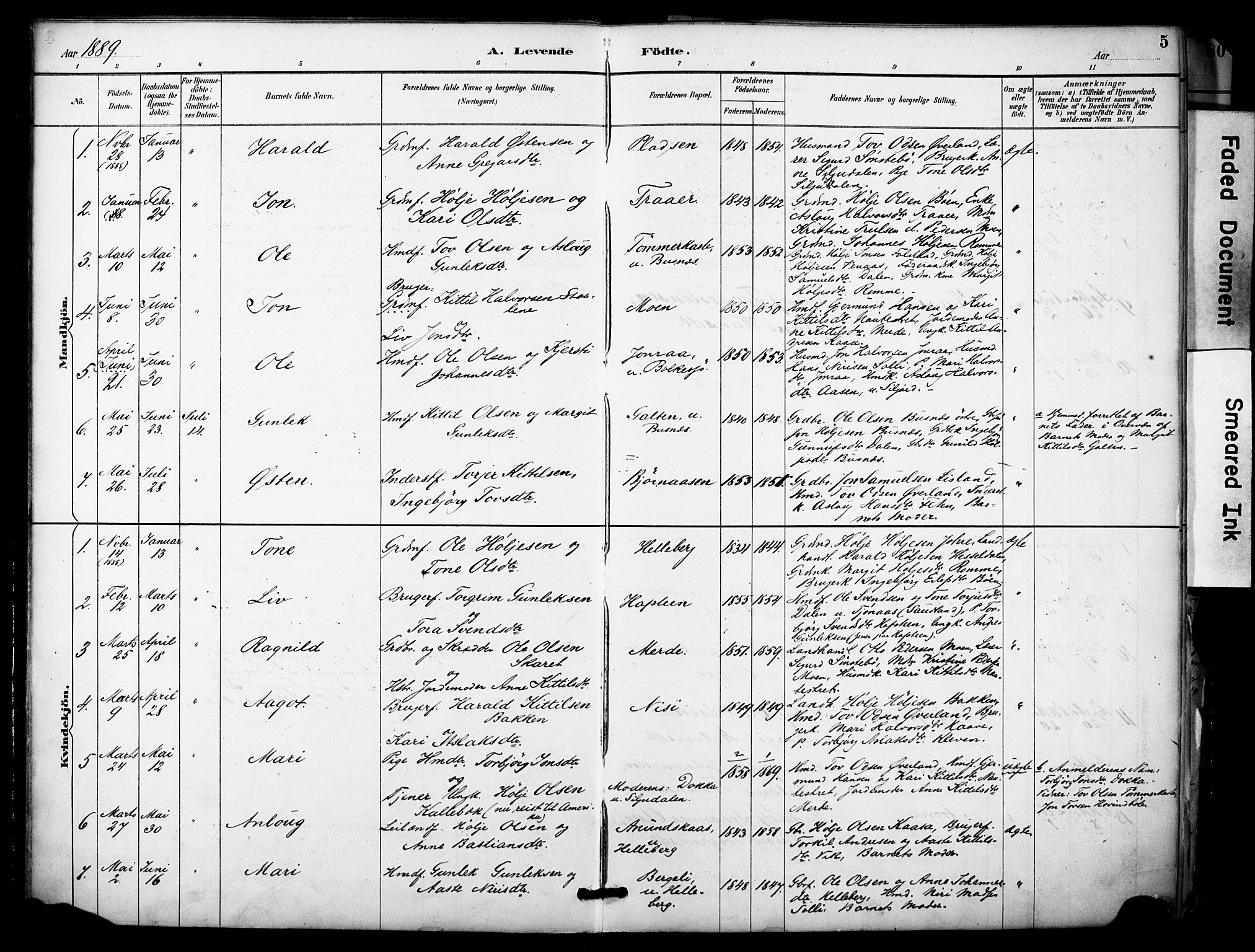 Gransherad kirkebøker, SAKO/A-267/F/Fa/L0005: Parish register (official) no. I 5, 1887-1916, p. 5