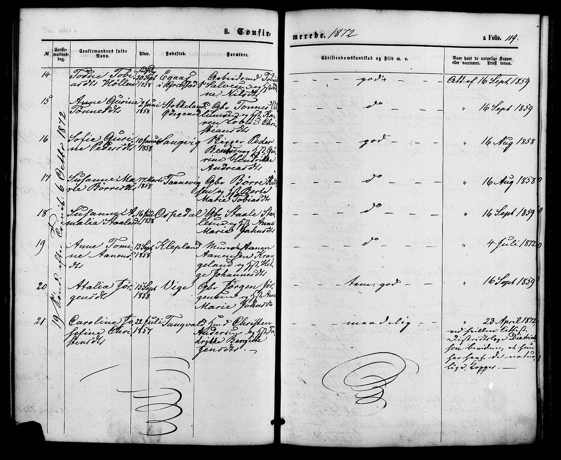 Søgne sokneprestkontor, SAK/1111-0037/F/Fa/Fab/L0011: Parish register (official) no. A 11, 1869-1879, p. 119