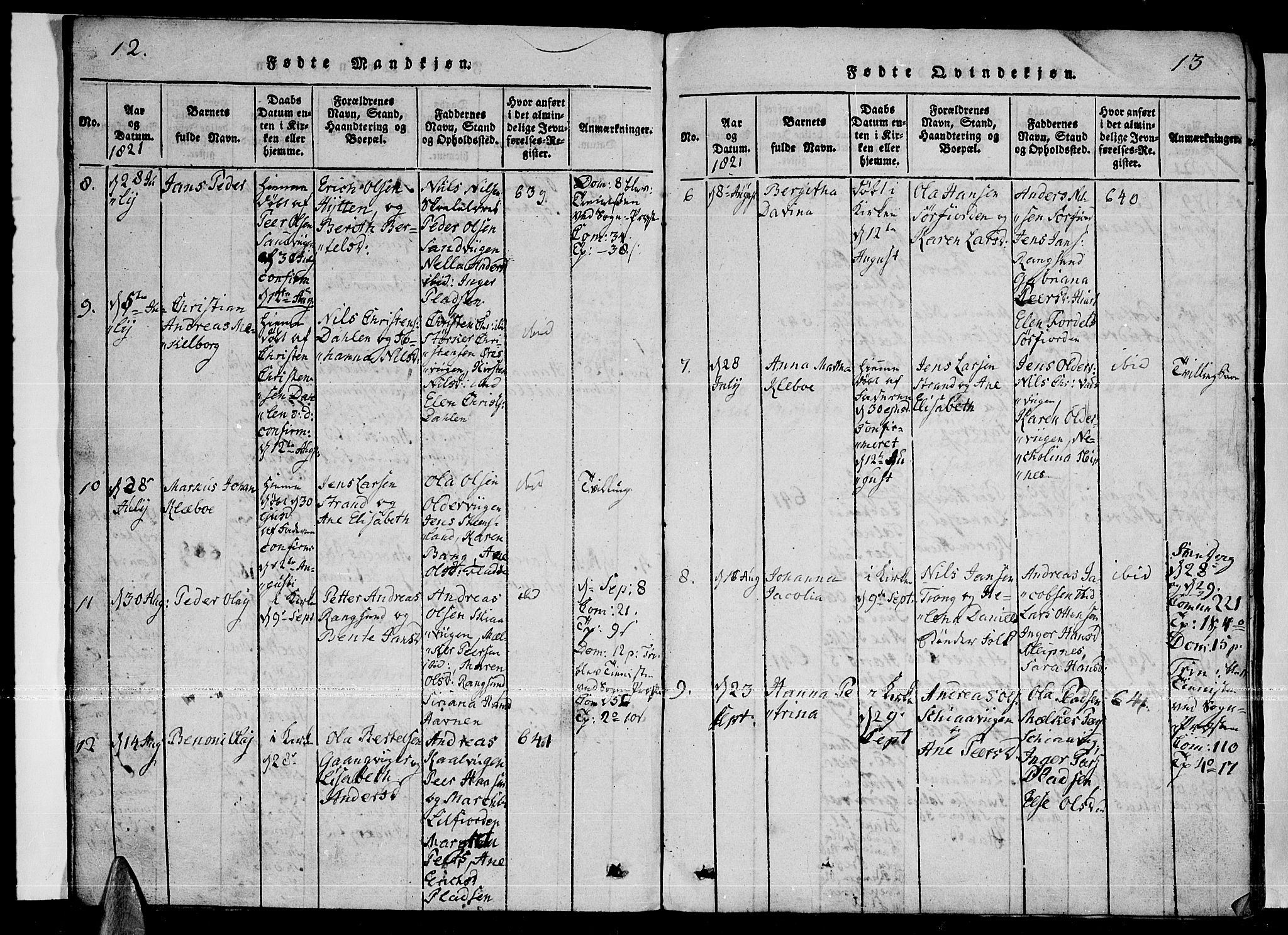 Ministerialprotokoller, klokkerbøker og fødselsregistre - Nordland, AV/SAT-A-1459/841/L0593: Parish register (official) no. 841A04 /1, 1820-1825, p. 12-13