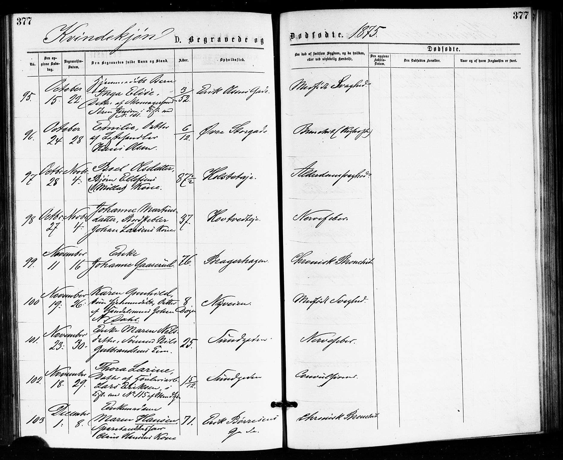 Bragernes kirkebøker, SAKO/A-6/F/Fb/L0005: Parish register (official) no. II 5, 1875-1877, p. 377