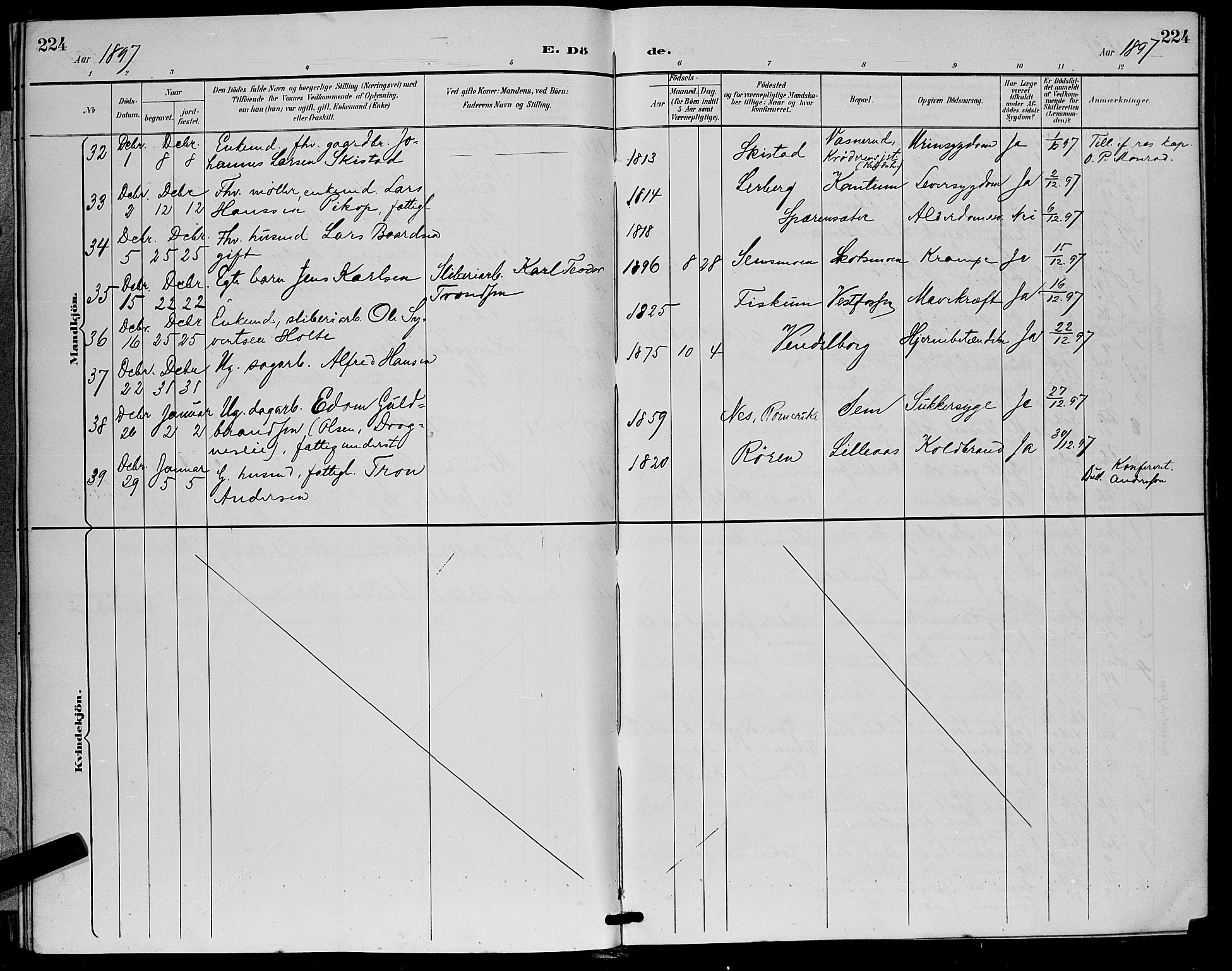 Eiker kirkebøker, SAKO/A-4/G/Ga/L0007: Parish register (copy) no. I 7, 1893-1902, p. 224