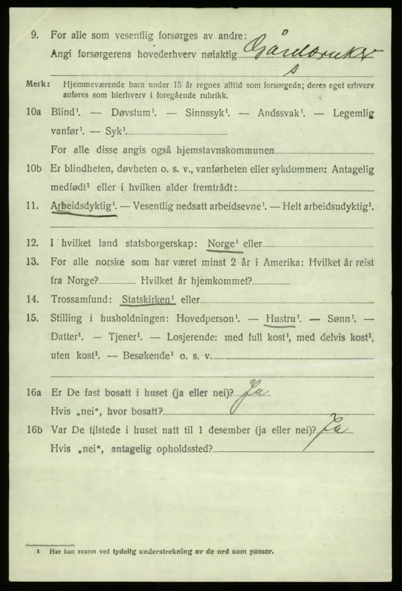 SAB, 1920 census for Lærdal, 1920, p. 2689