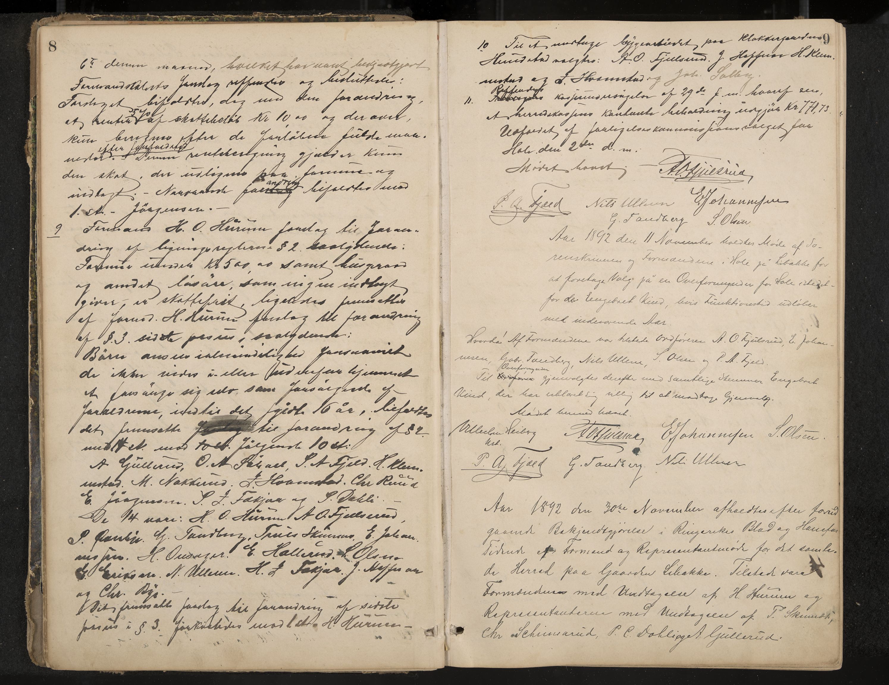 Hole formannskap og sentraladministrasjon, IKAK/0612021-1/A/Aa/L0003: Møtebok med register, 1892-1902, p. 8-9