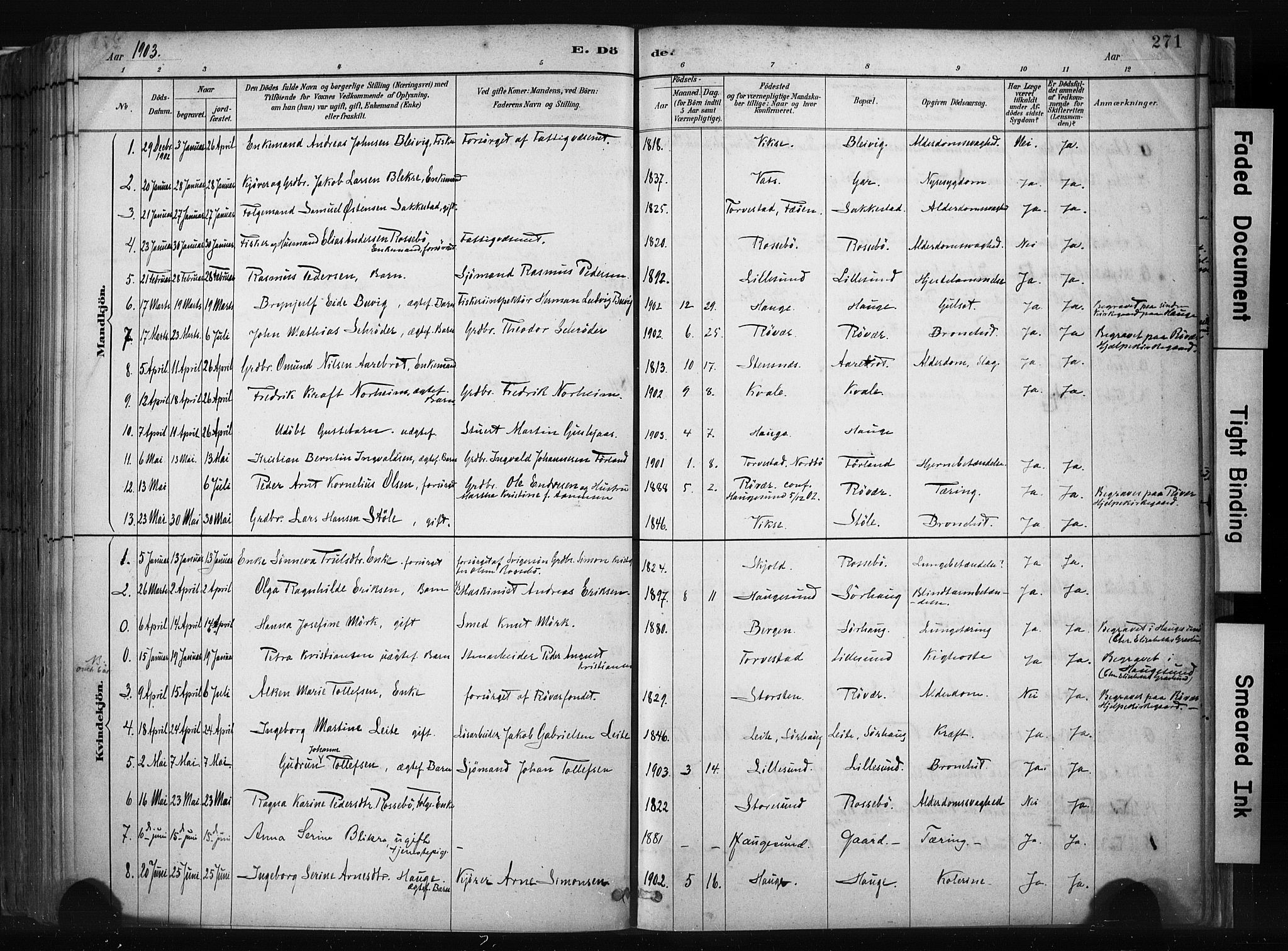 Haugesund sokneprestkontor, AV/SAST-A -101863/H/Ha/Haa/L0004: Parish register (official) no. A 4, 1886-1908, p. 271