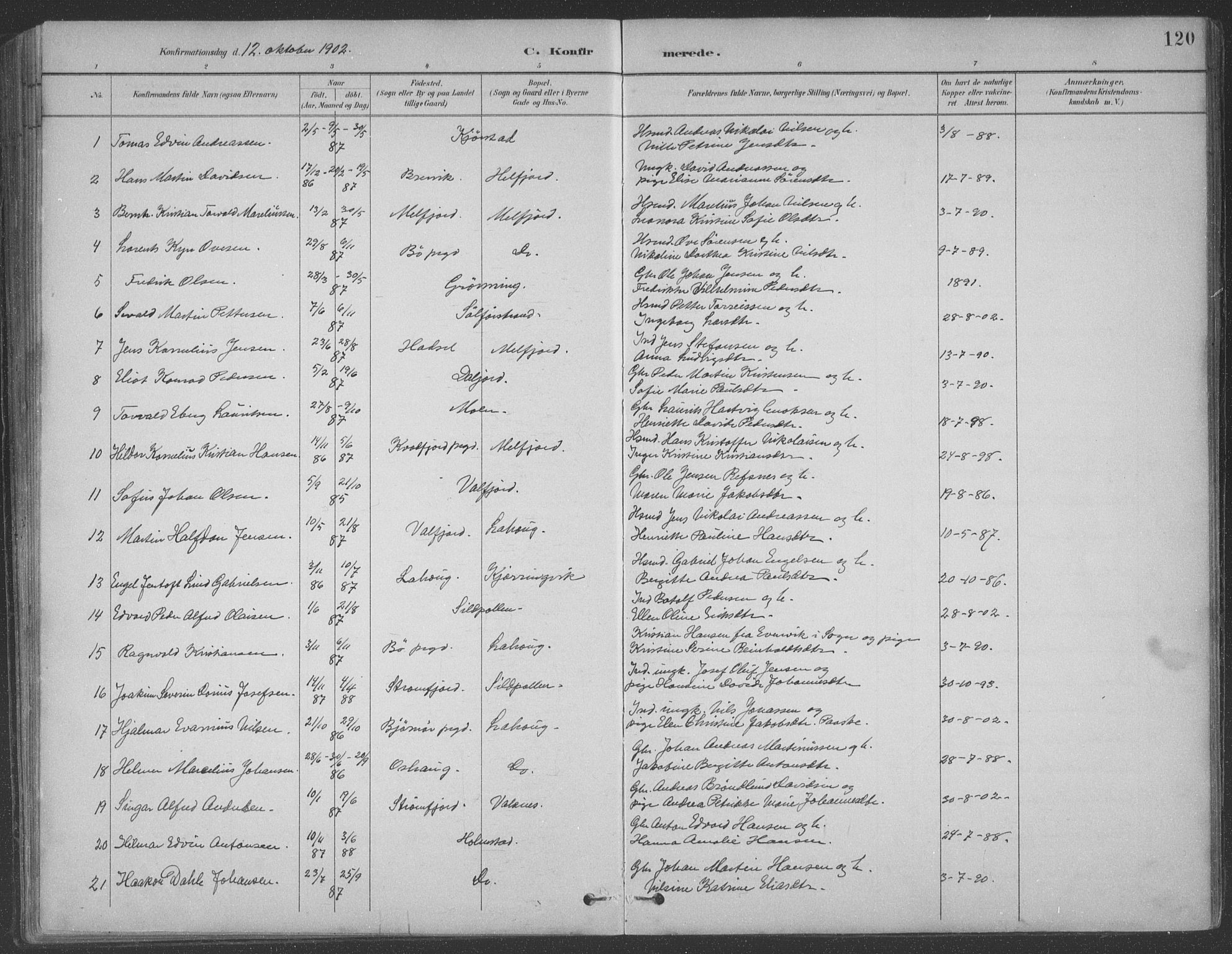 Ministerialprotokoller, klokkerbøker og fødselsregistre - Nordland, AV/SAT-A-1459/890/L1290: Parish register (copy) no. 890C01, 1882-1911, p. 120