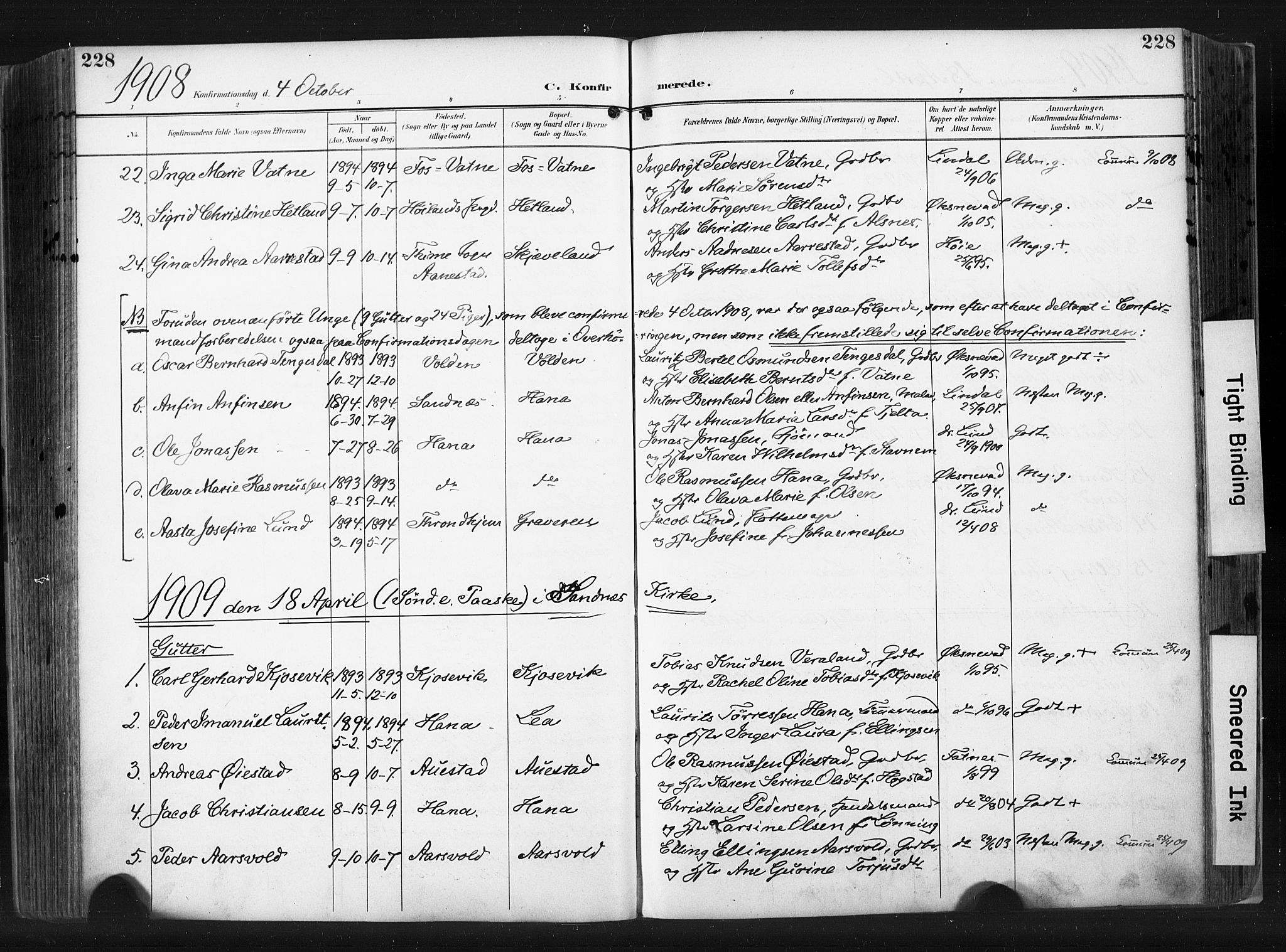 Høyland sokneprestkontor, SAST/A-101799/001/30BA/L0015: Parish register (official) no. A 14, 1899-1911, p. 228