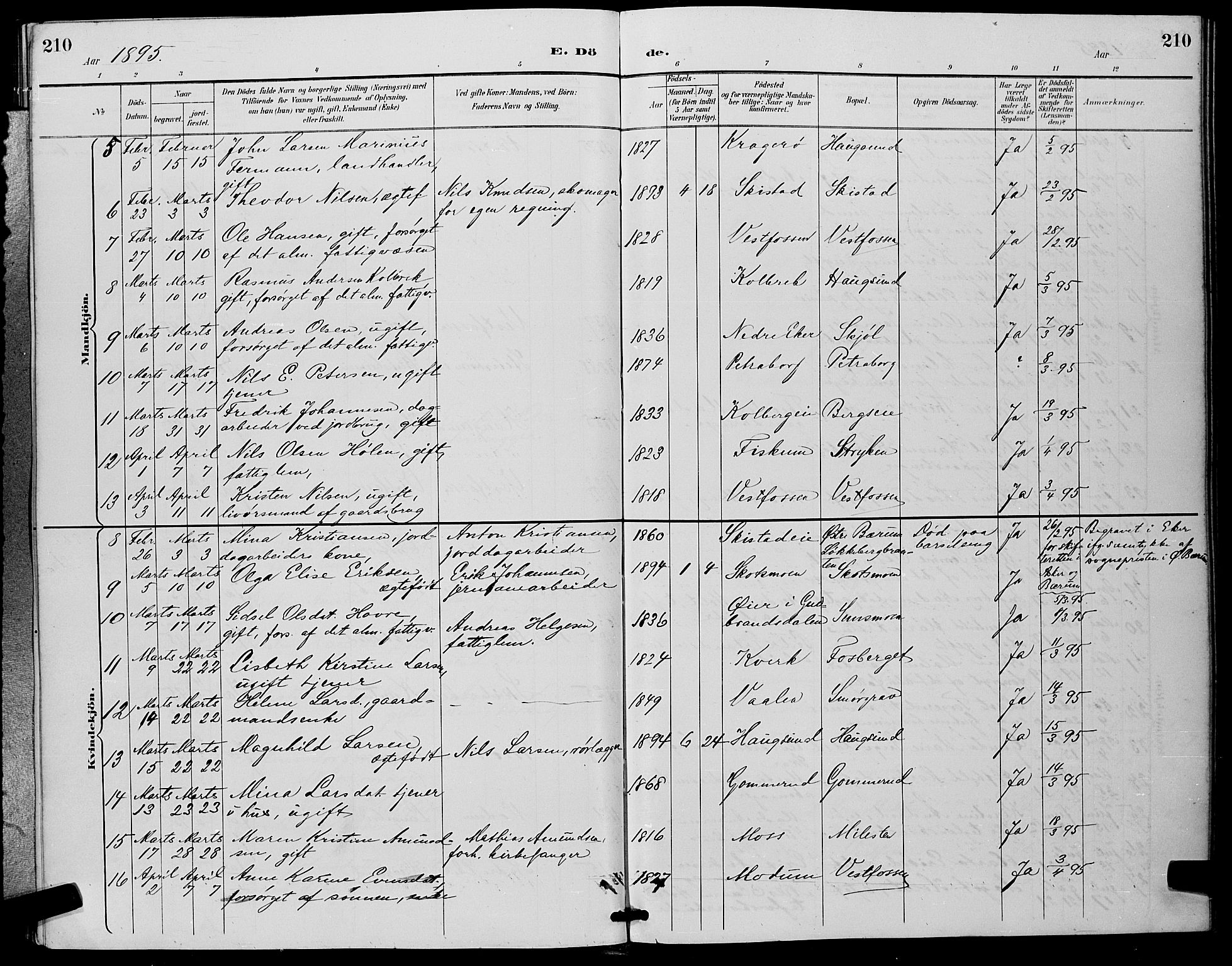 Eiker kirkebøker, SAKO/A-4/G/Ga/L0007: Parish register (copy) no. I 7, 1893-1902, p. 210