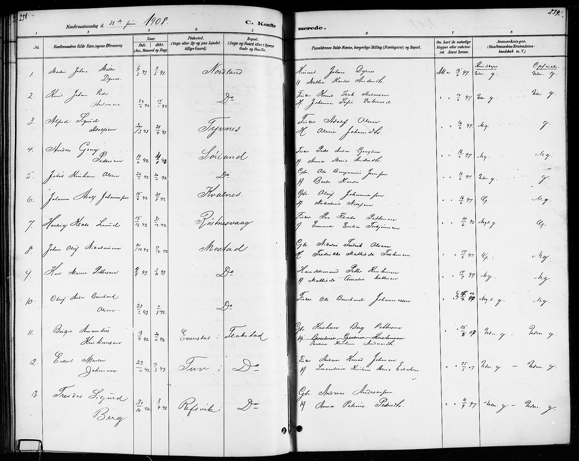 Ministerialprotokoller, klokkerbøker og fødselsregistre - Nordland, AV/SAT-A-1459/807/L0123: Parish register (copy) no. 807C01, 1884-1910, p. 238-239