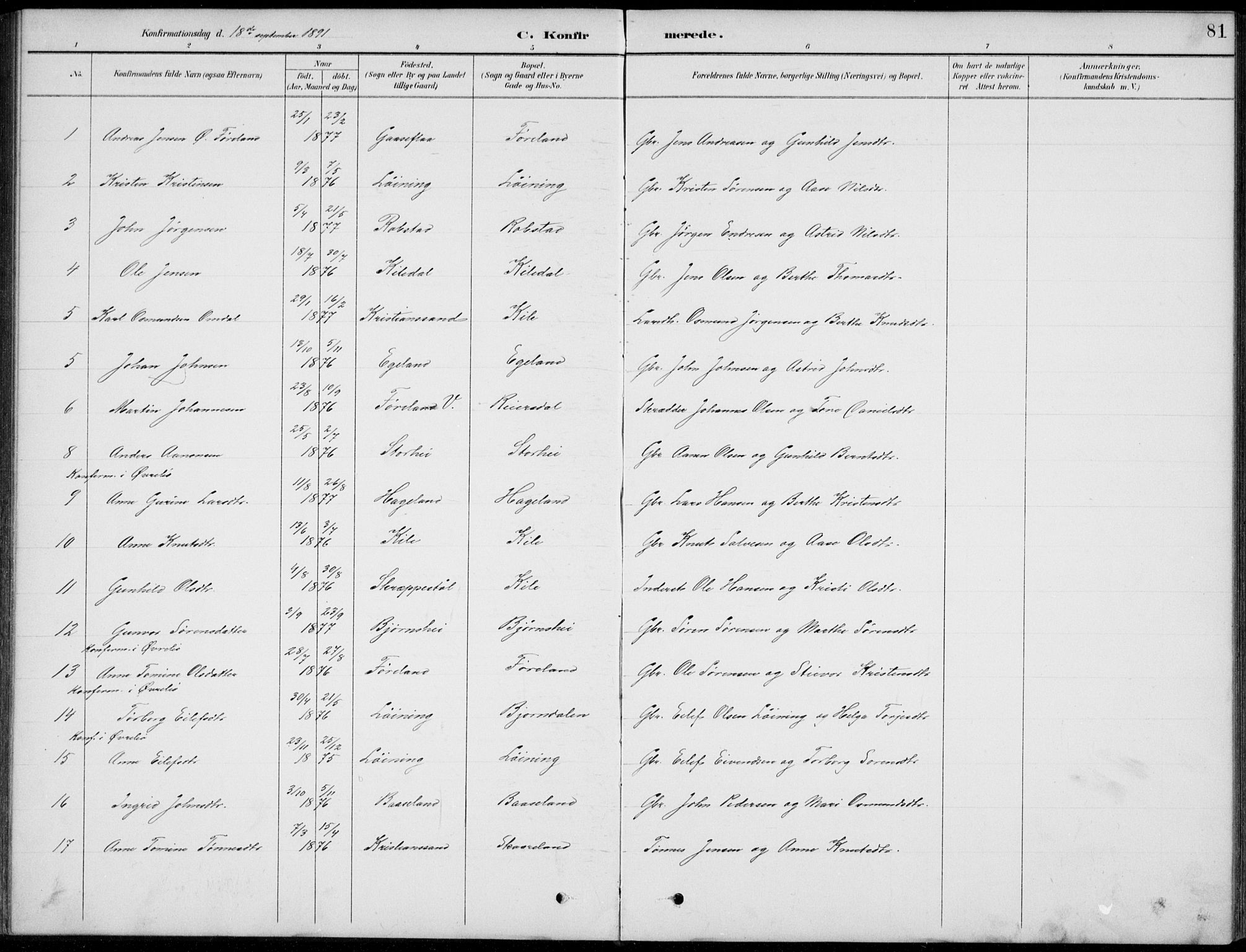 Vennesla sokneprestkontor, SAK/1111-0045/Fb/Fba/L0003: Parish register (copy) no. B 3, 1890-1919, p. 81